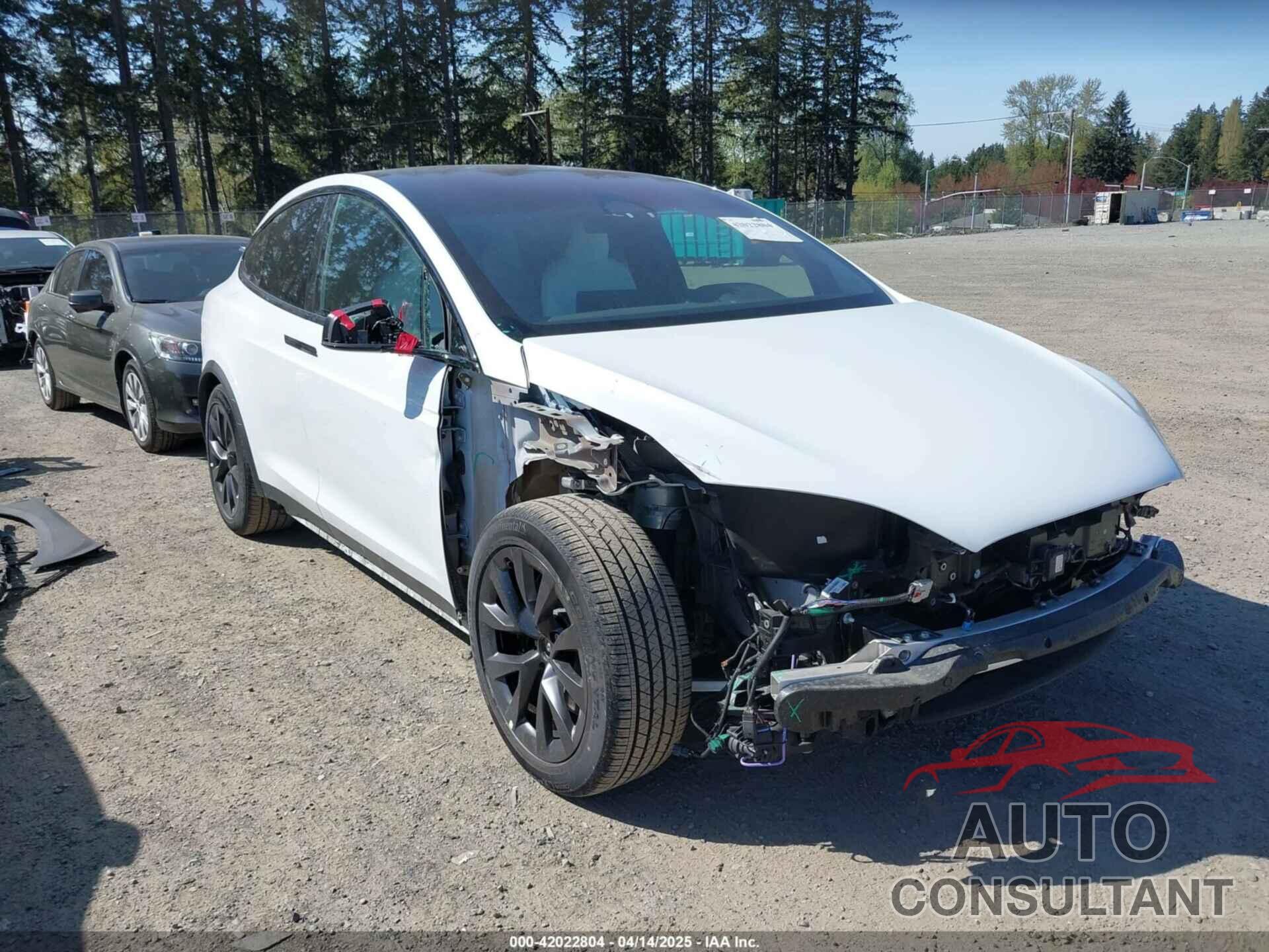 TESLA MODEL X 2023 - 7SAXCDE5XPF377337