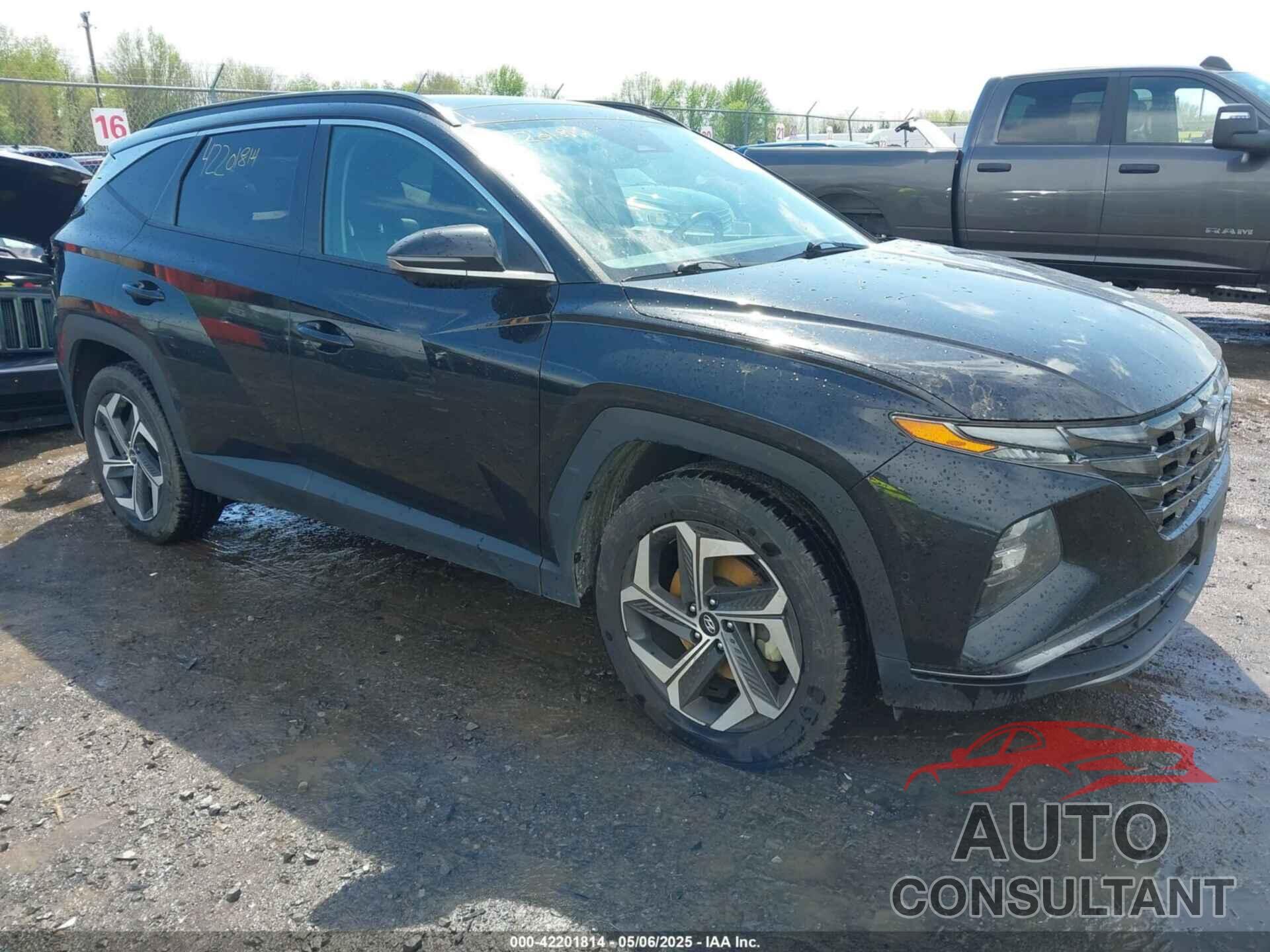HYUNDAI TUCSON 2024 - 5NMJECDE5RH352159