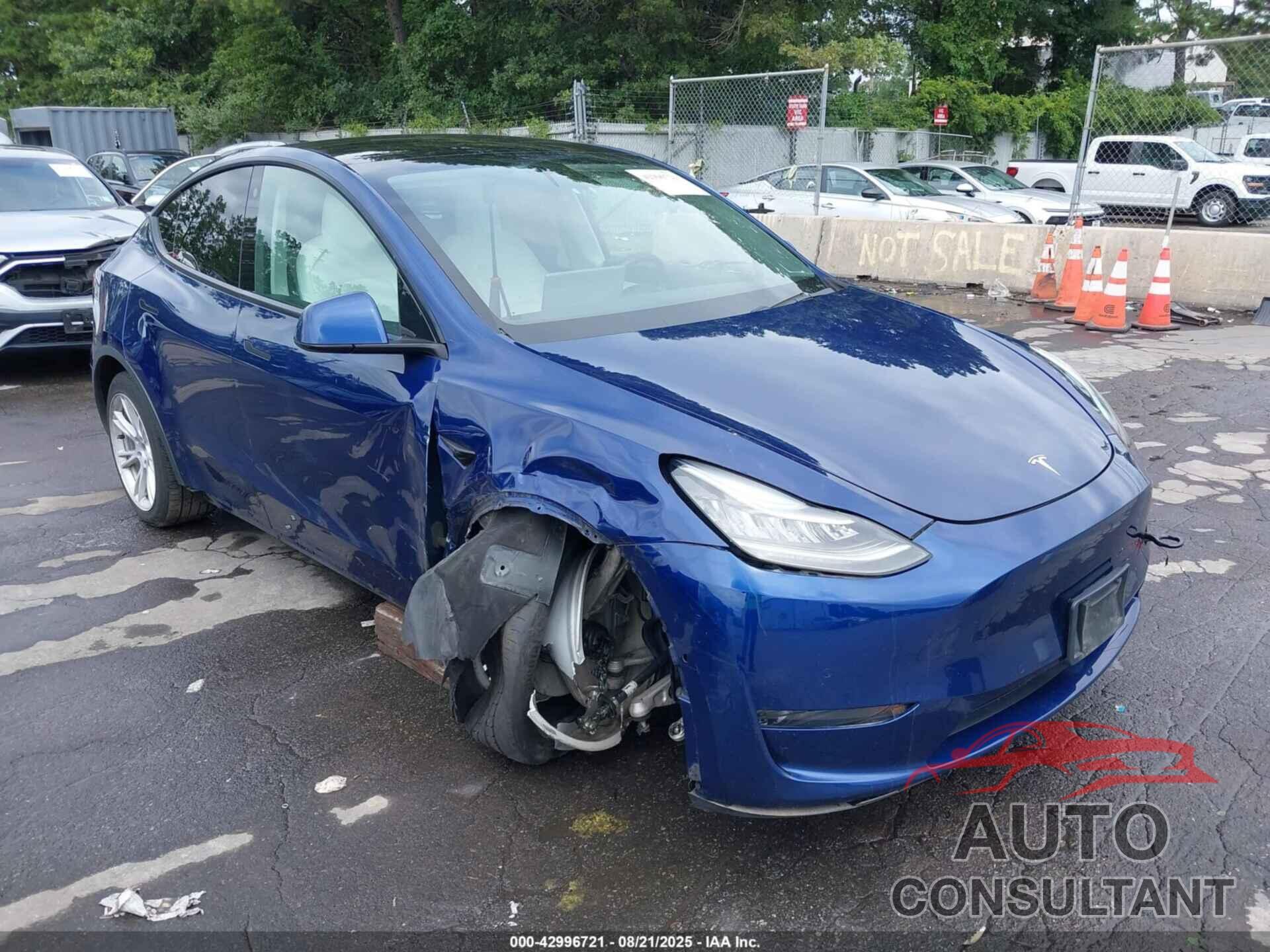 TESLA MODEL Y 2021 - 5YJYGDEE8MF066264