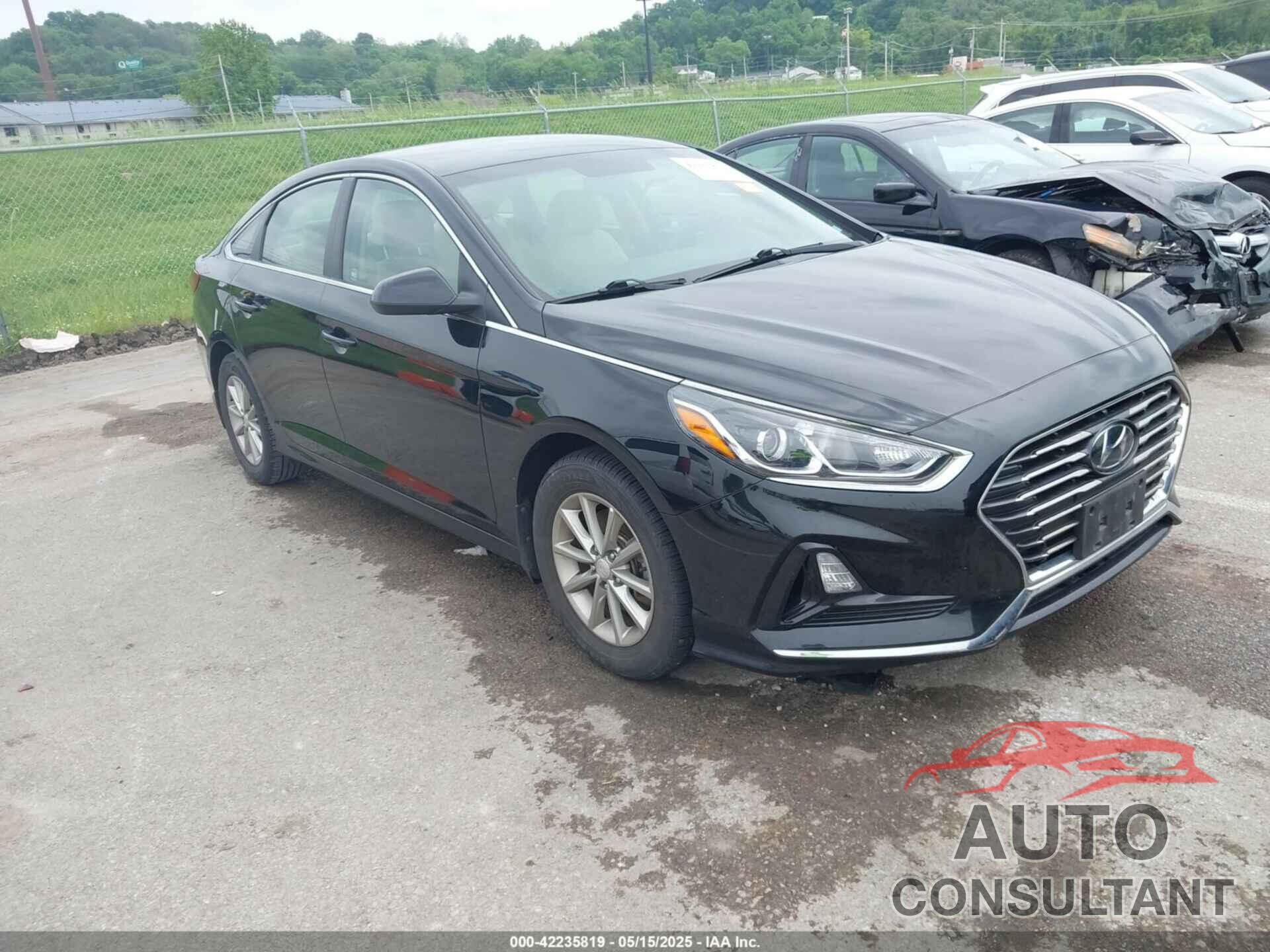 HYUNDAI SONATA 2019 - 5NPE24AF5KH805900