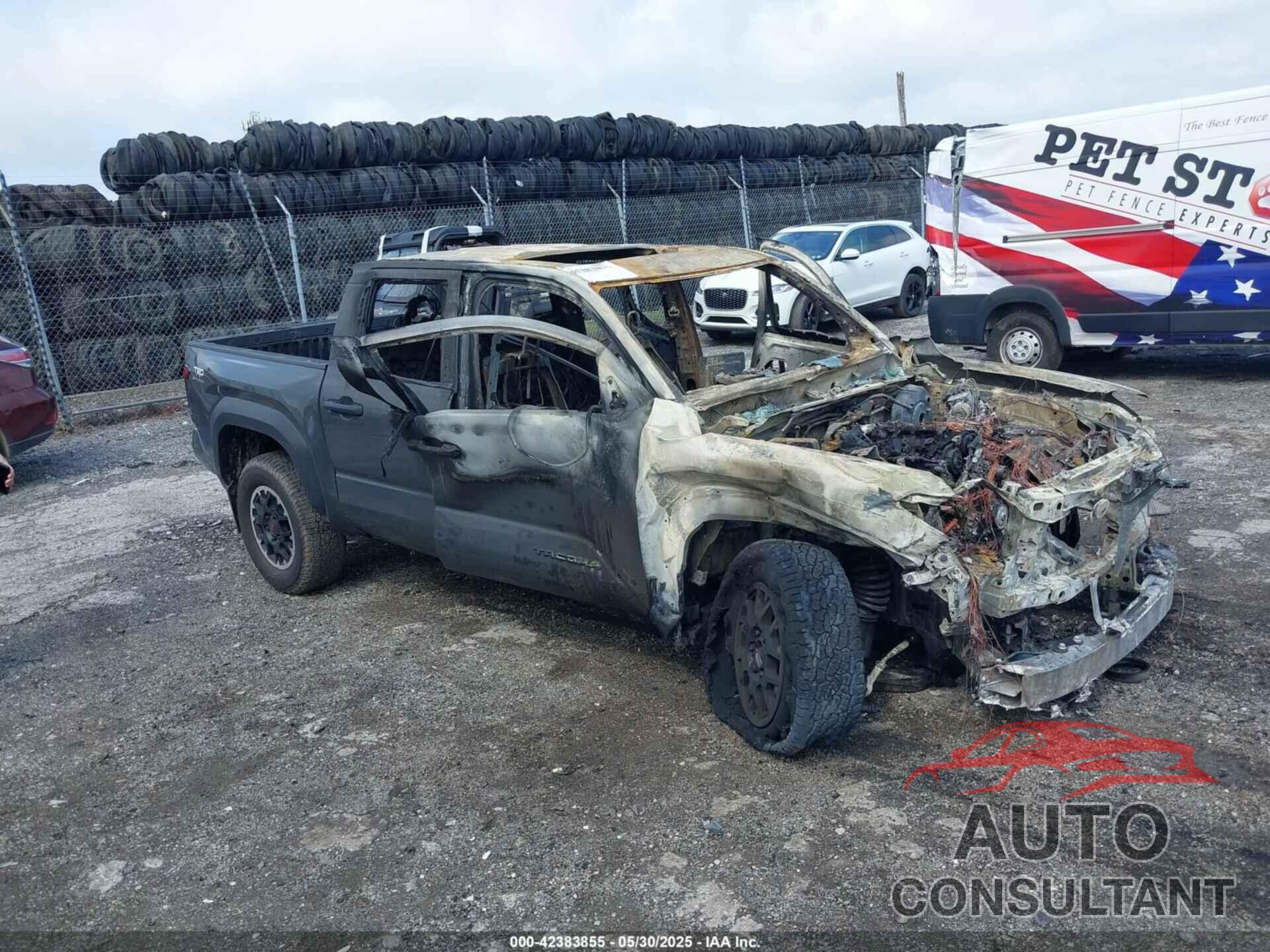 TOYOTA TACOMA 2024 - 3TMLB5JN5RM012704
