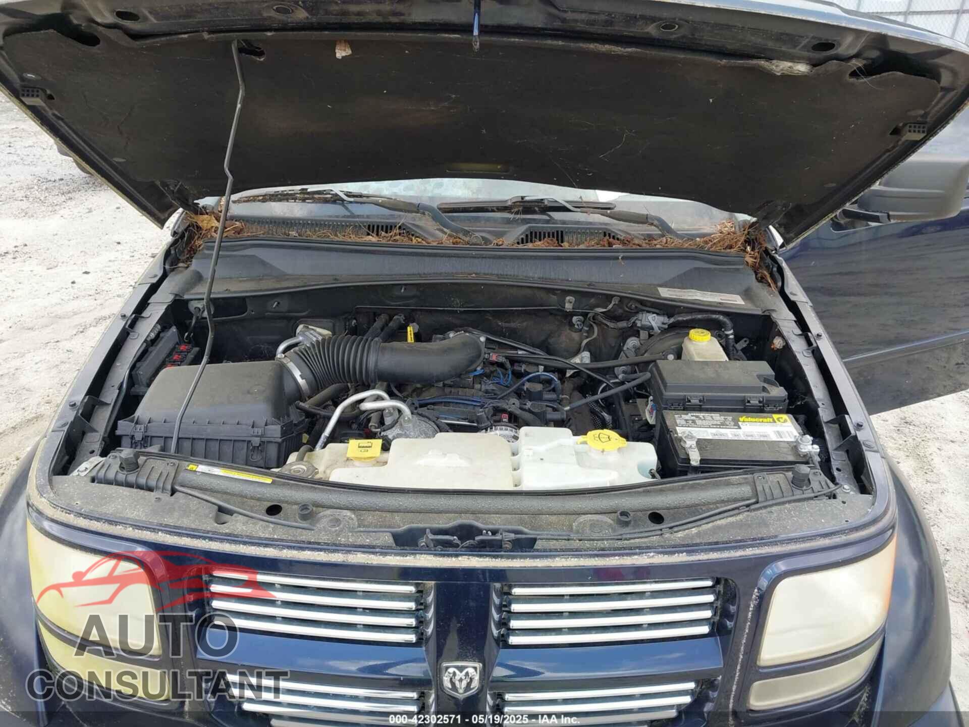 DODGE NITRO 2011 - 1D4PT4GK2BW514844