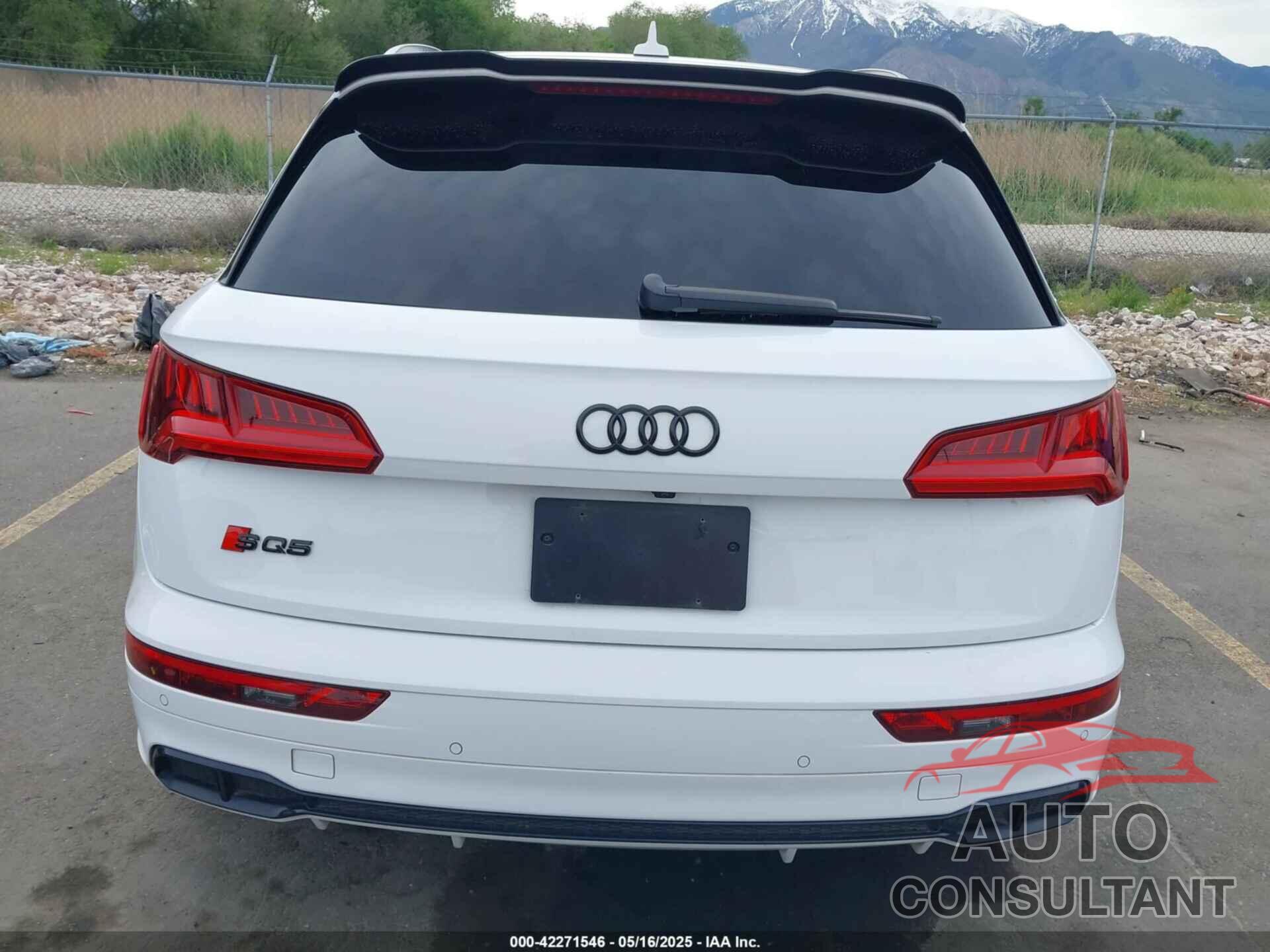 AUDI SQ5 2019 - WA1C4AFY7K2015553