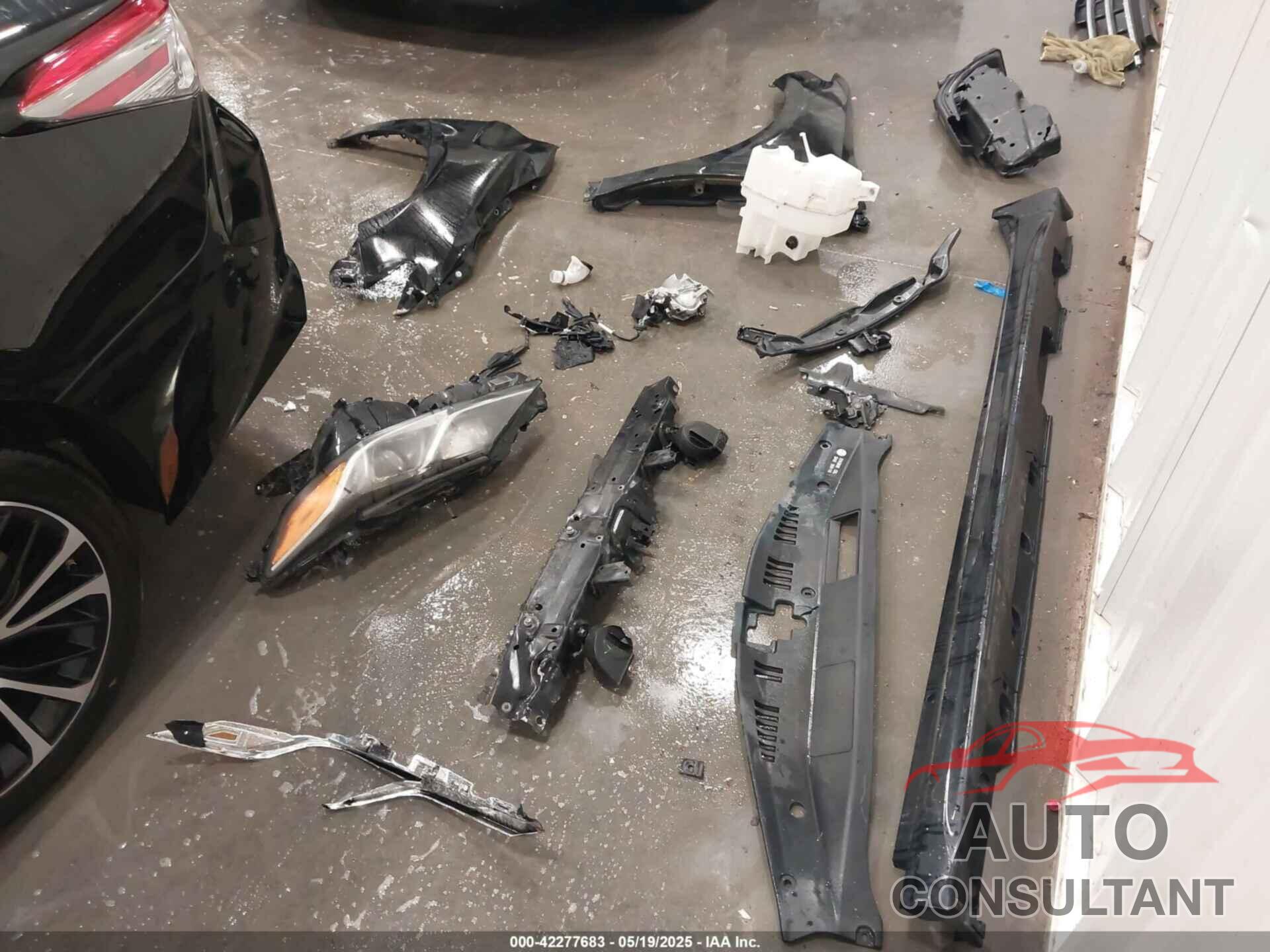 TOYOTA CAMRY 2019 - 4T1B11HK5KU279986