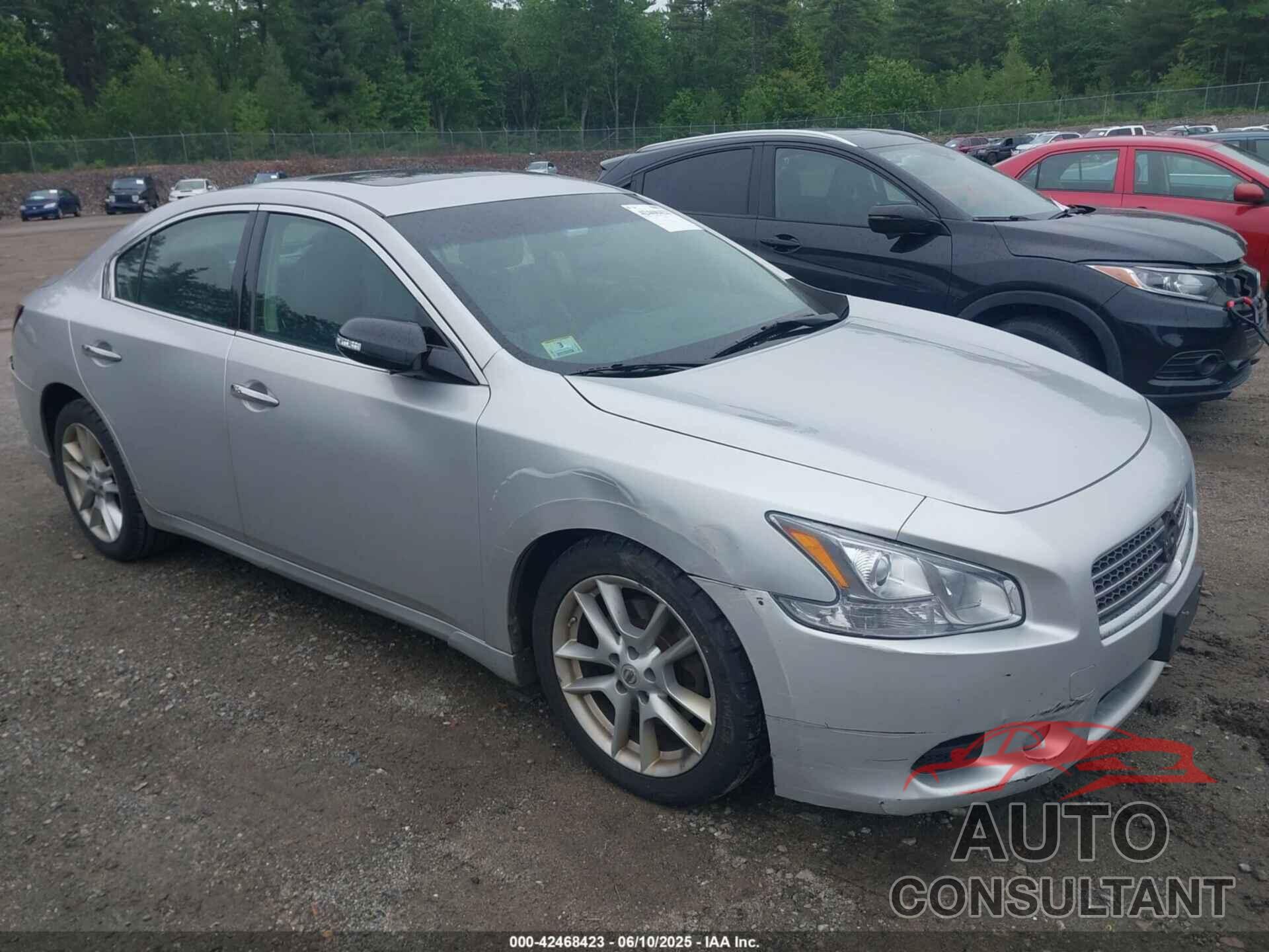 NISSAN MAXIMA 2010 - 1N4AA5AP7AC835447