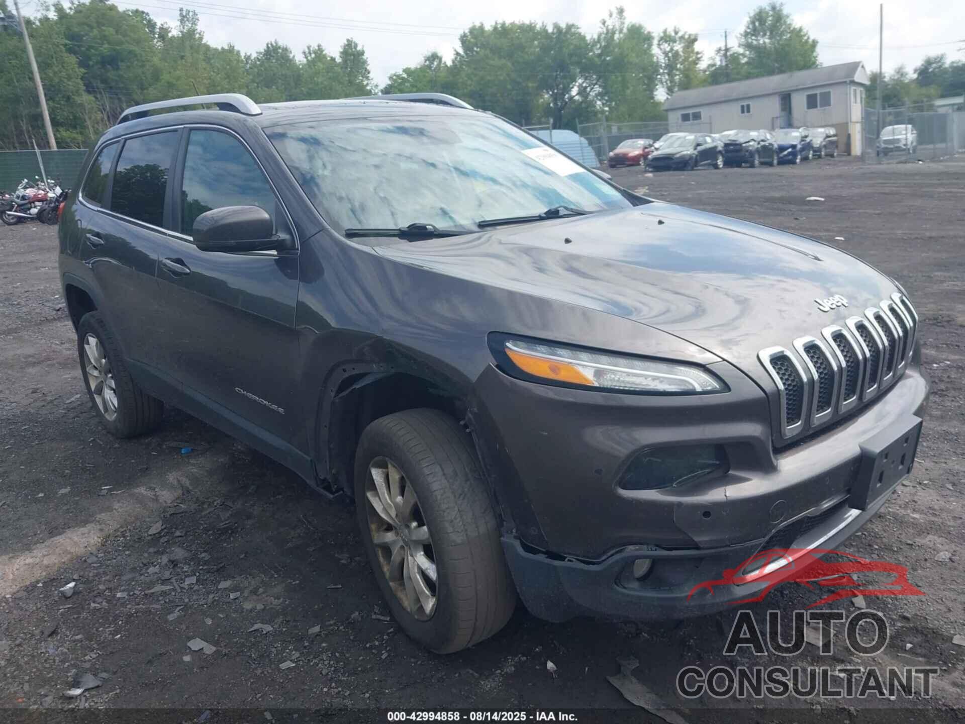 JEEP CHEROKEE 2014 - 1C4PJMDS1EW239706