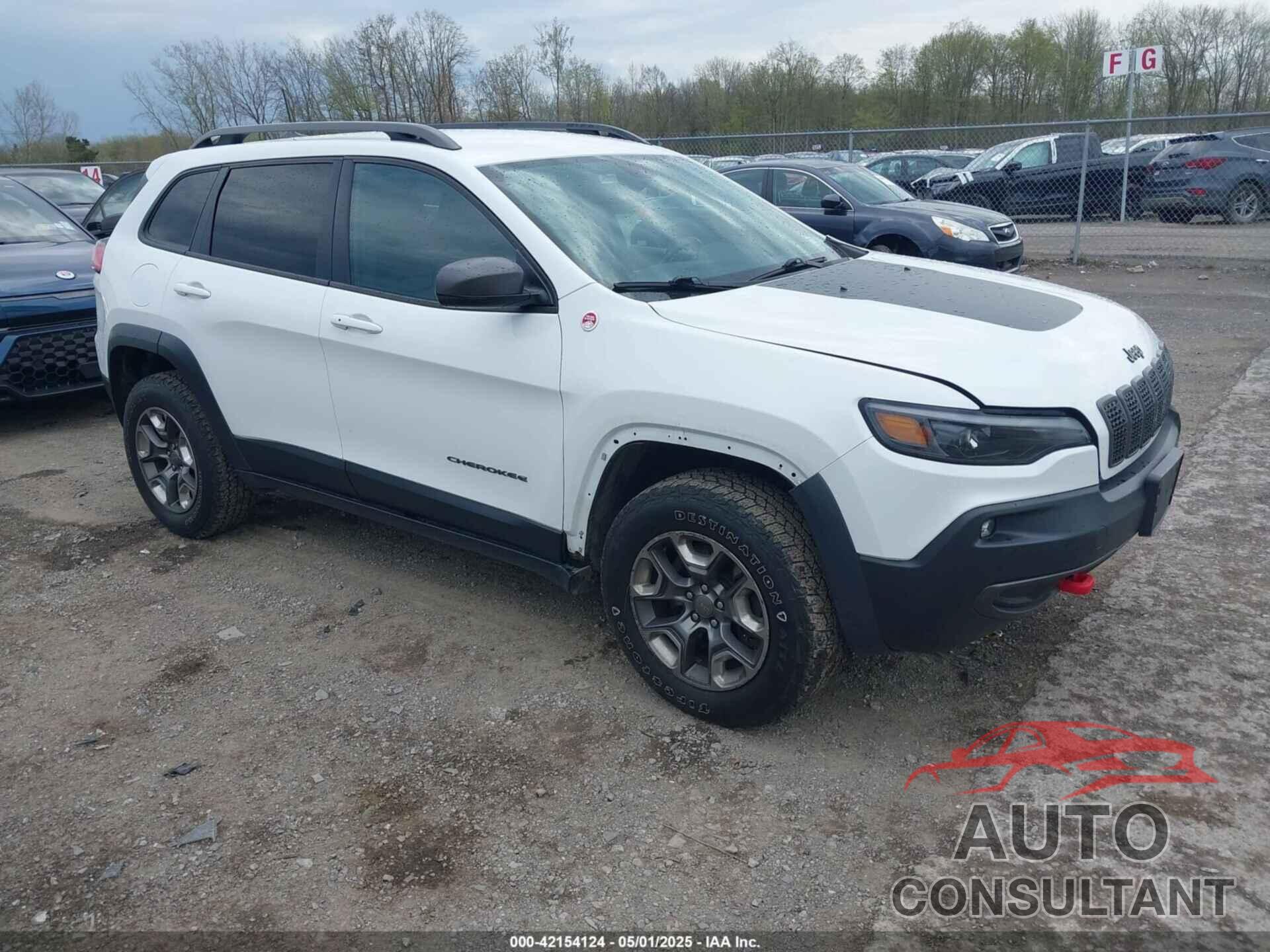 JEEP CHEROKEE 2019 - 1C4PJMBX7KD126848