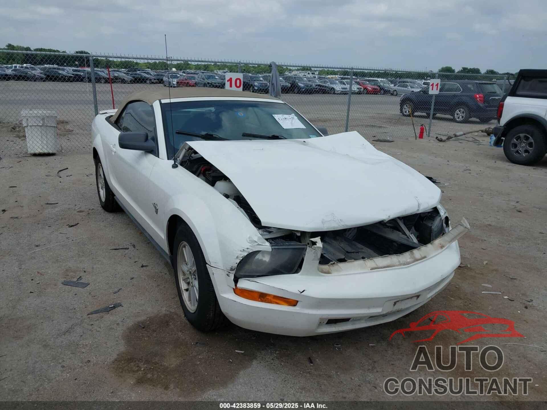 FORD MUSTANG 2009 - 1ZVHT84N595112837