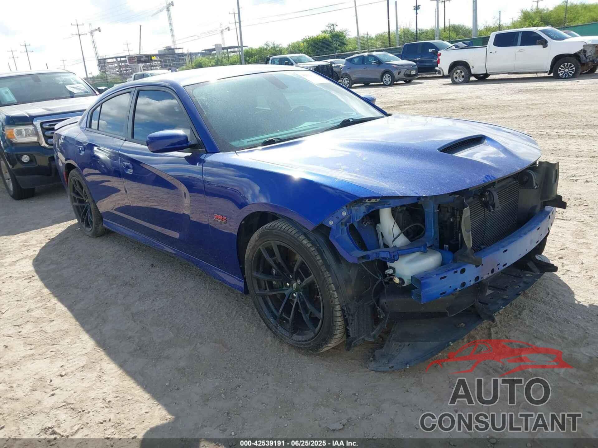 DODGE CHARGER 2020 - 2C3CDXGJ6LH248945