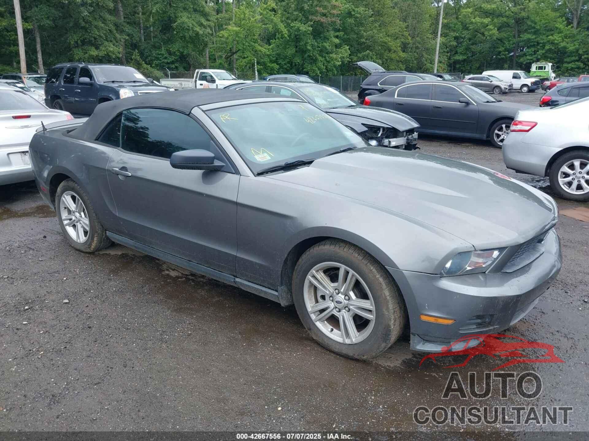 FORD MUSTANG 2011 - 1ZVBP8EM2B5142545