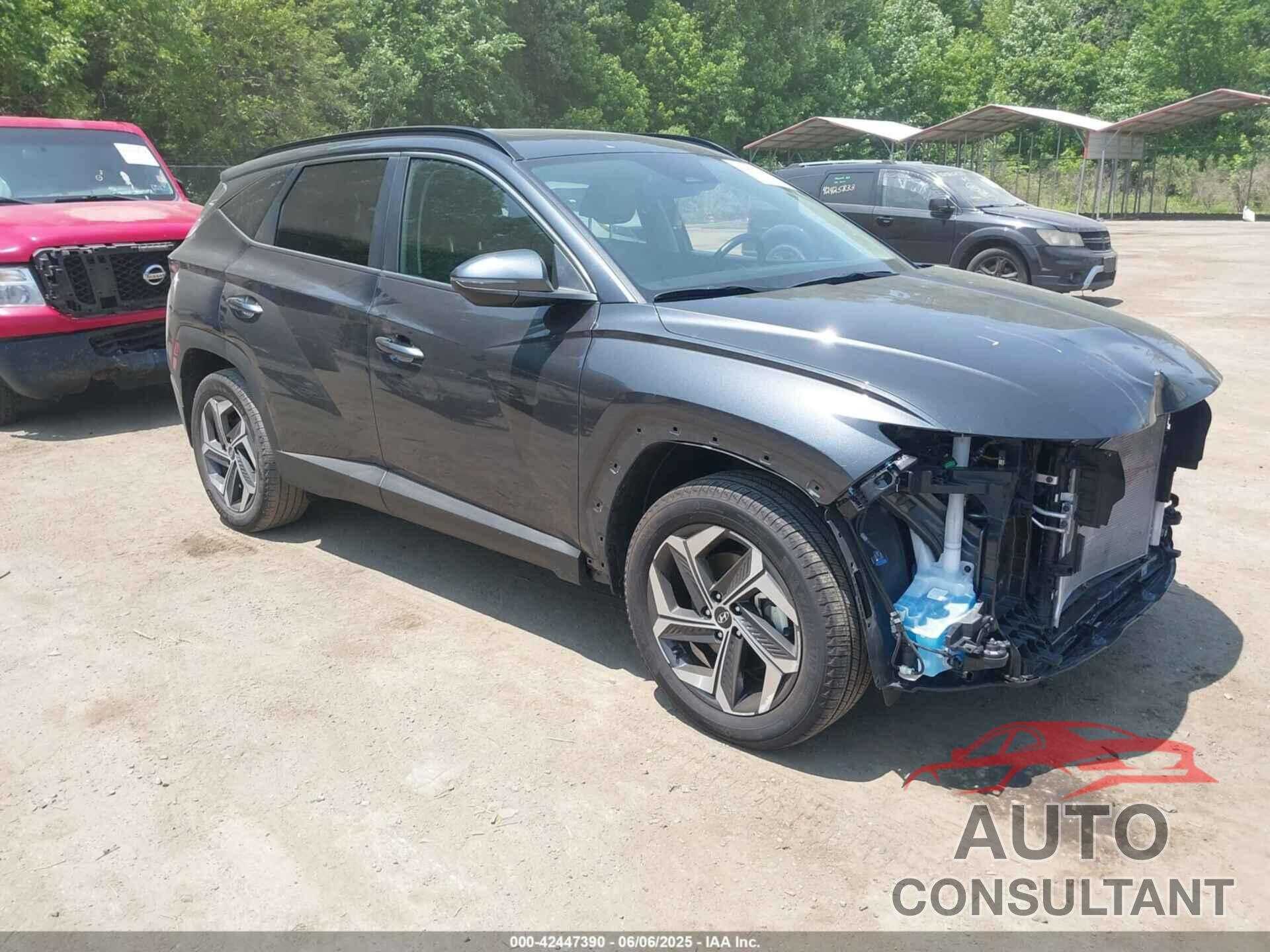 HYUNDAI TUCSON 2023 - 5NMJFCAEXPH241119