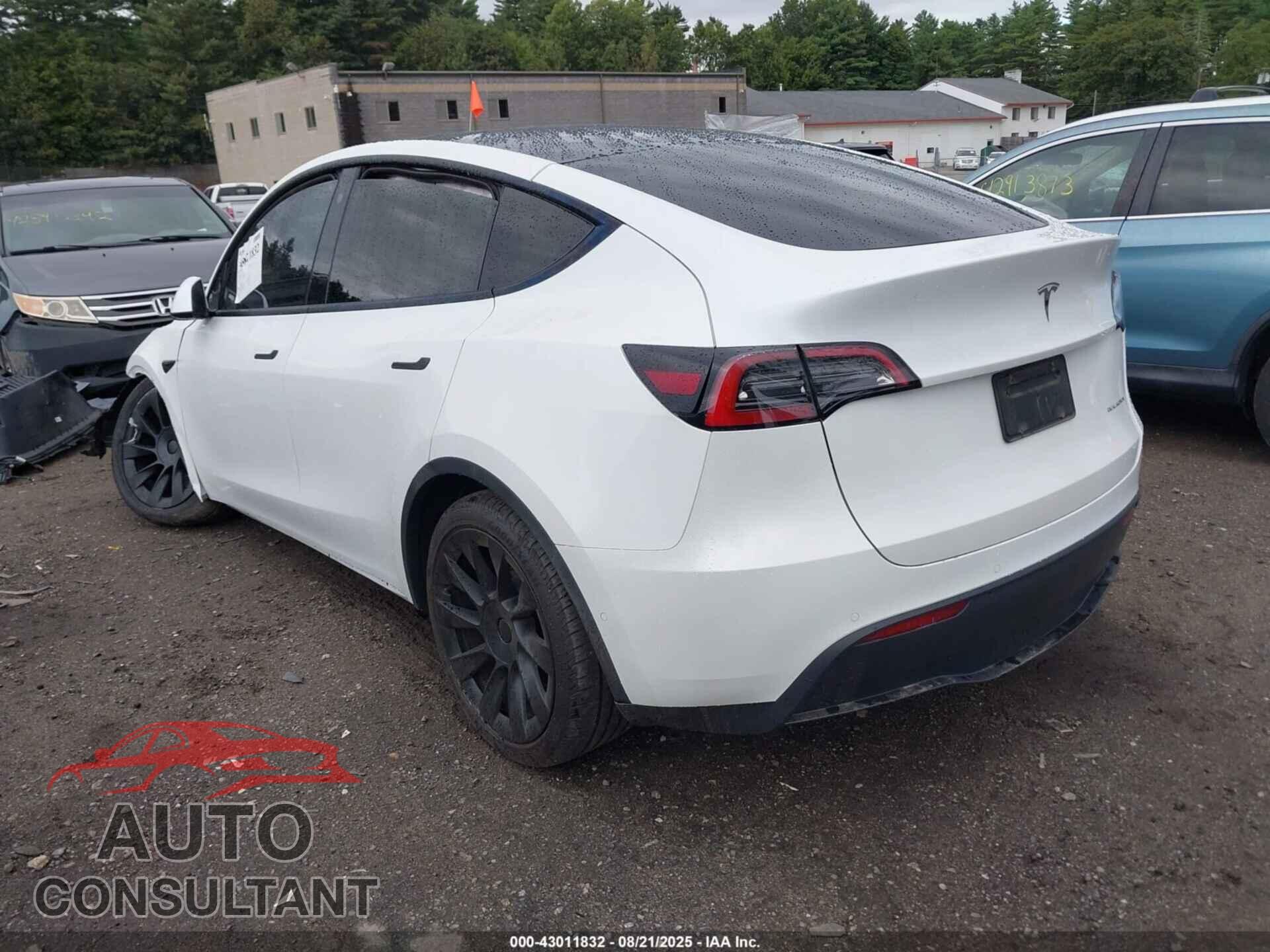 TESLA MODEL Y 2023 - 7SAYGAEE3PF585485
