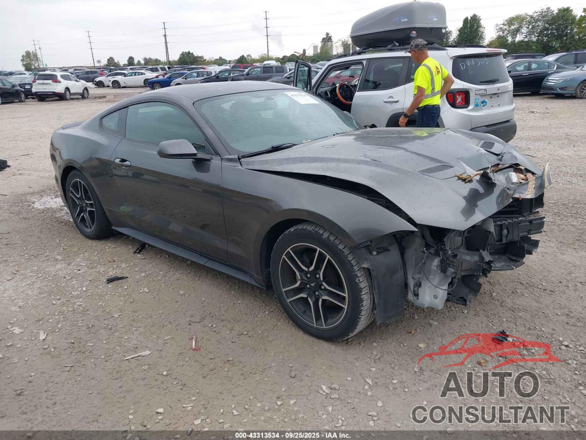 FORD MUSTANG 2019 - 1FA6P8TH2K5201173
