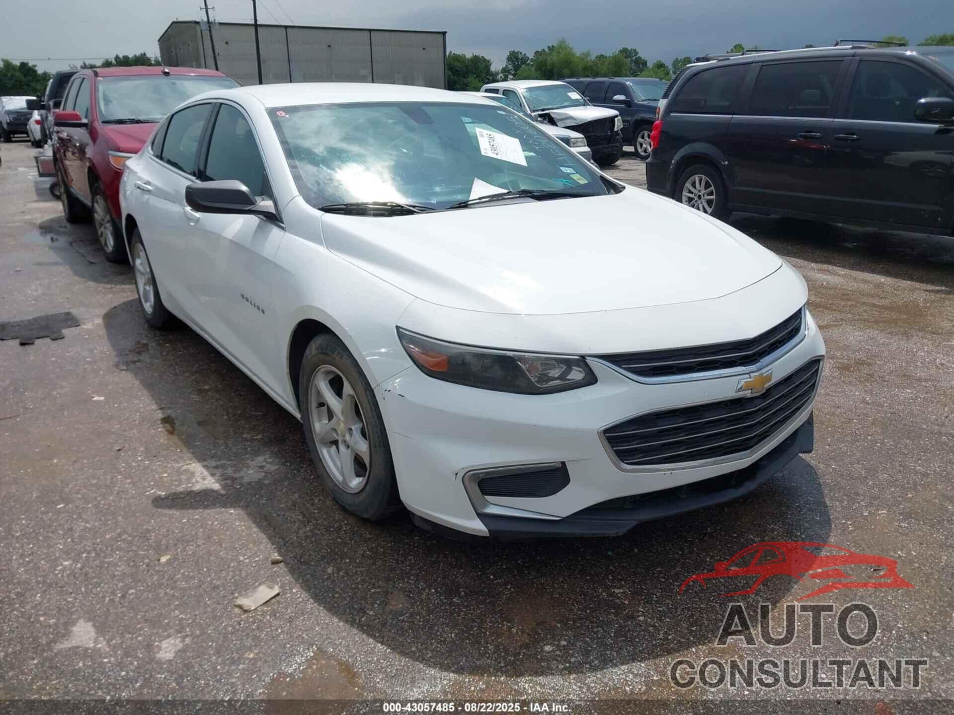 CHEVROLET MALIBU 2017 - 1G1ZB5STXHF206059