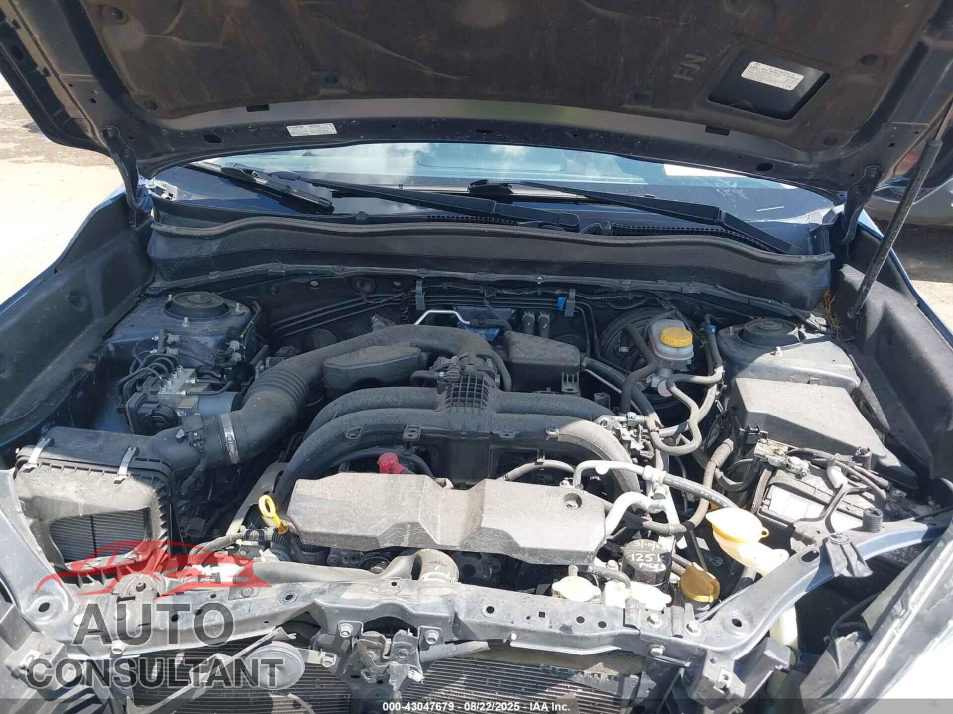 SUBARU FORESTER 2017 - JF2SJARC1HH516892