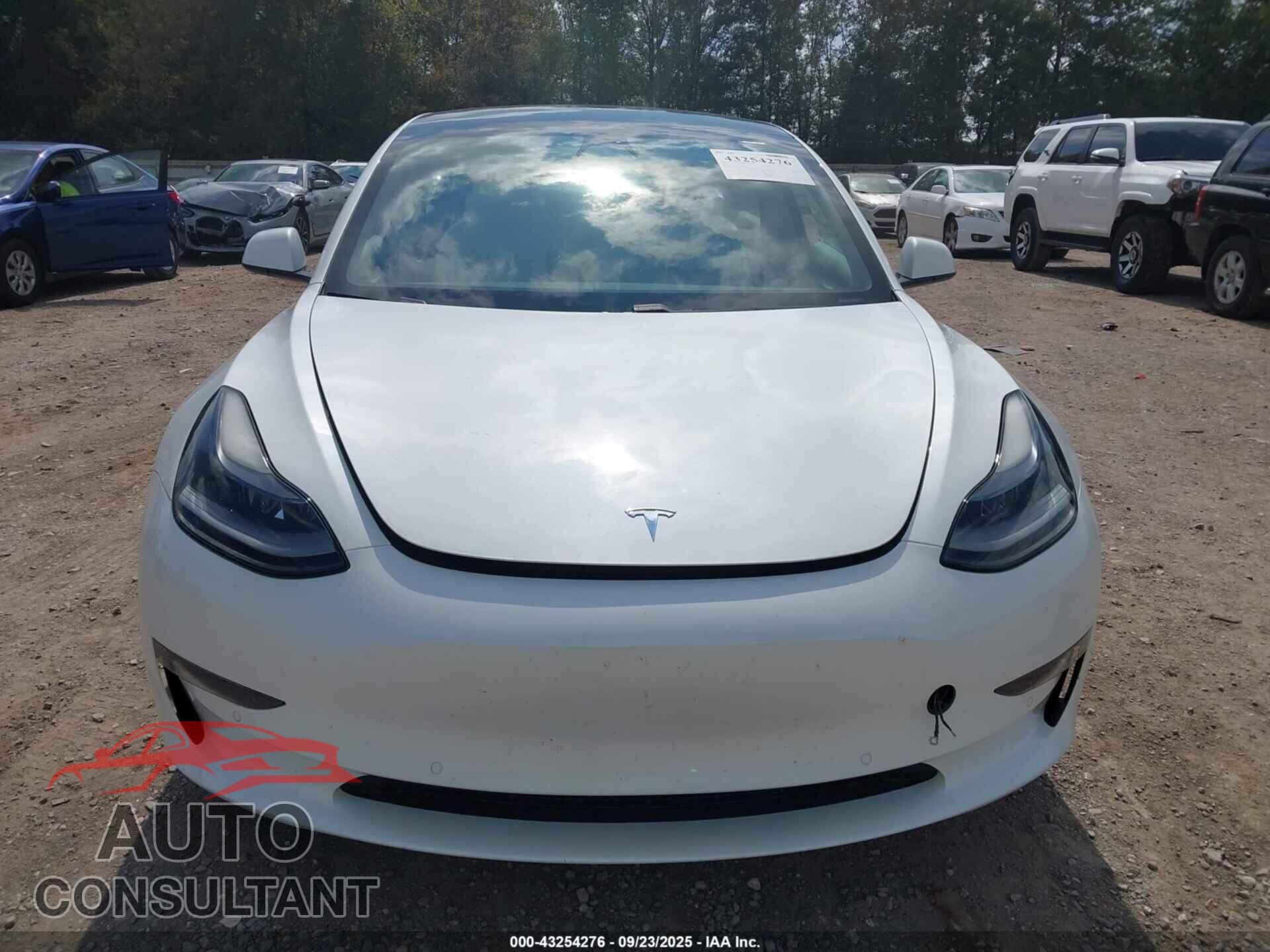 TESLA MODEL 3 2021 - 5YJ3E1EC3MF036263