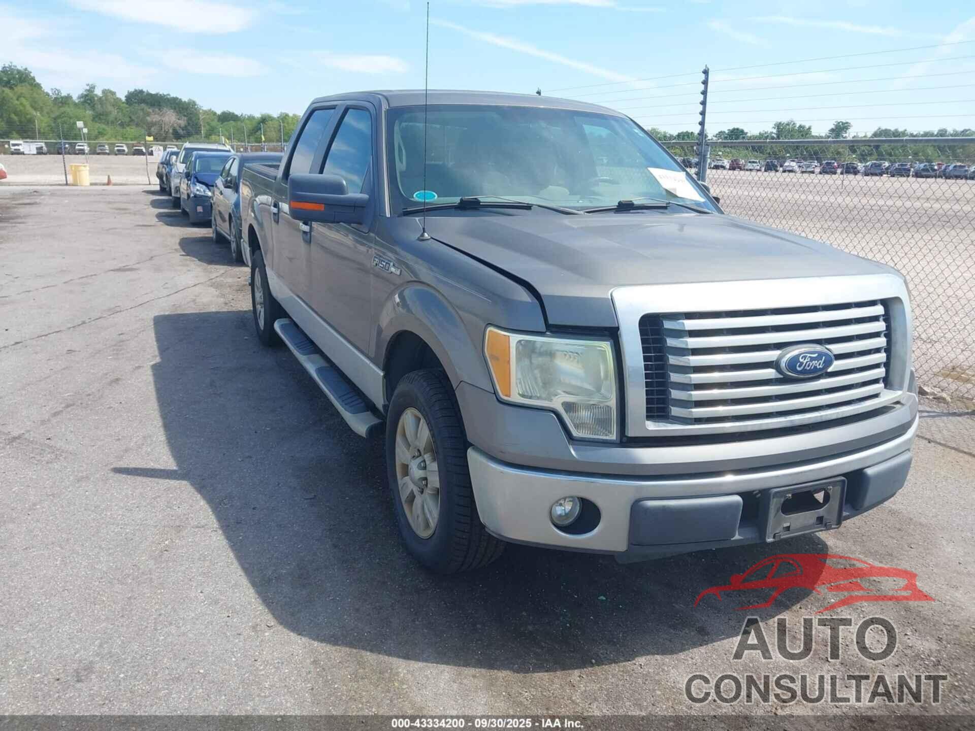 FORD F-150 2010 - 1FTFW1CV9AFD01600