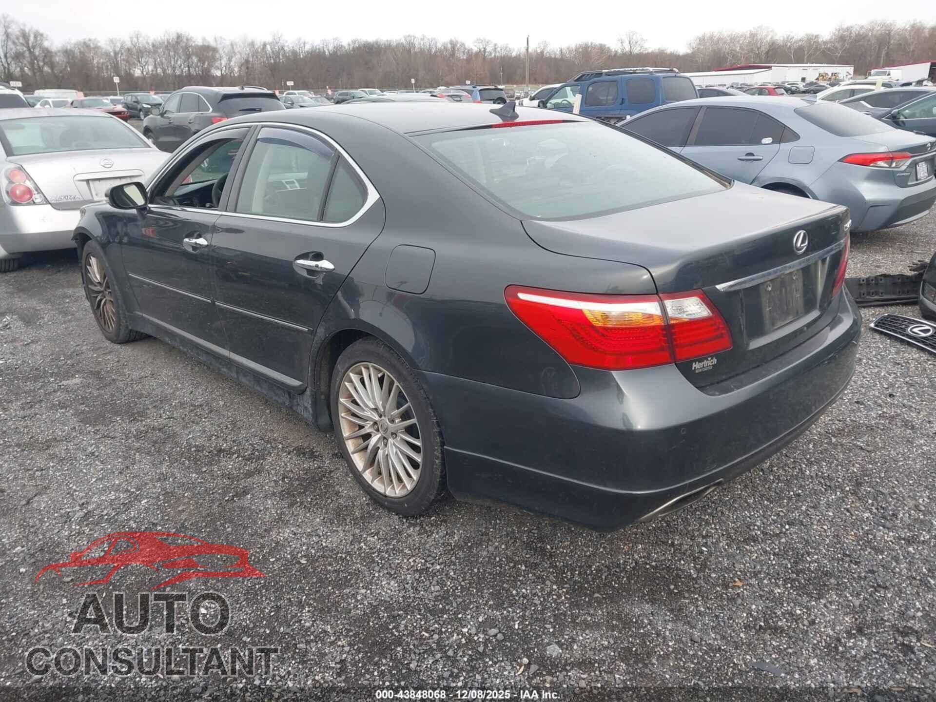 LEXUS LS 460 2011 - JTHBL5EF8B5102483