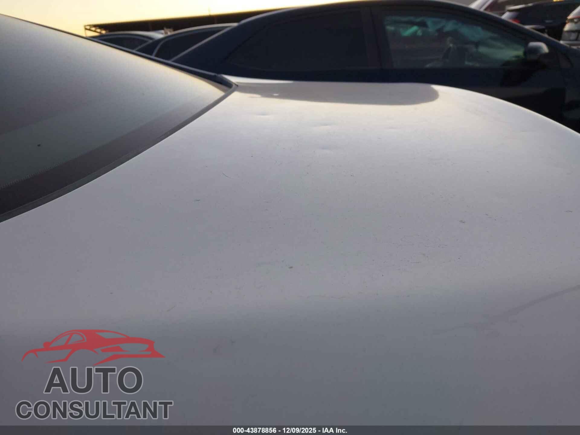 LEXUS LS 460 2009 - JTHBL46F095085357