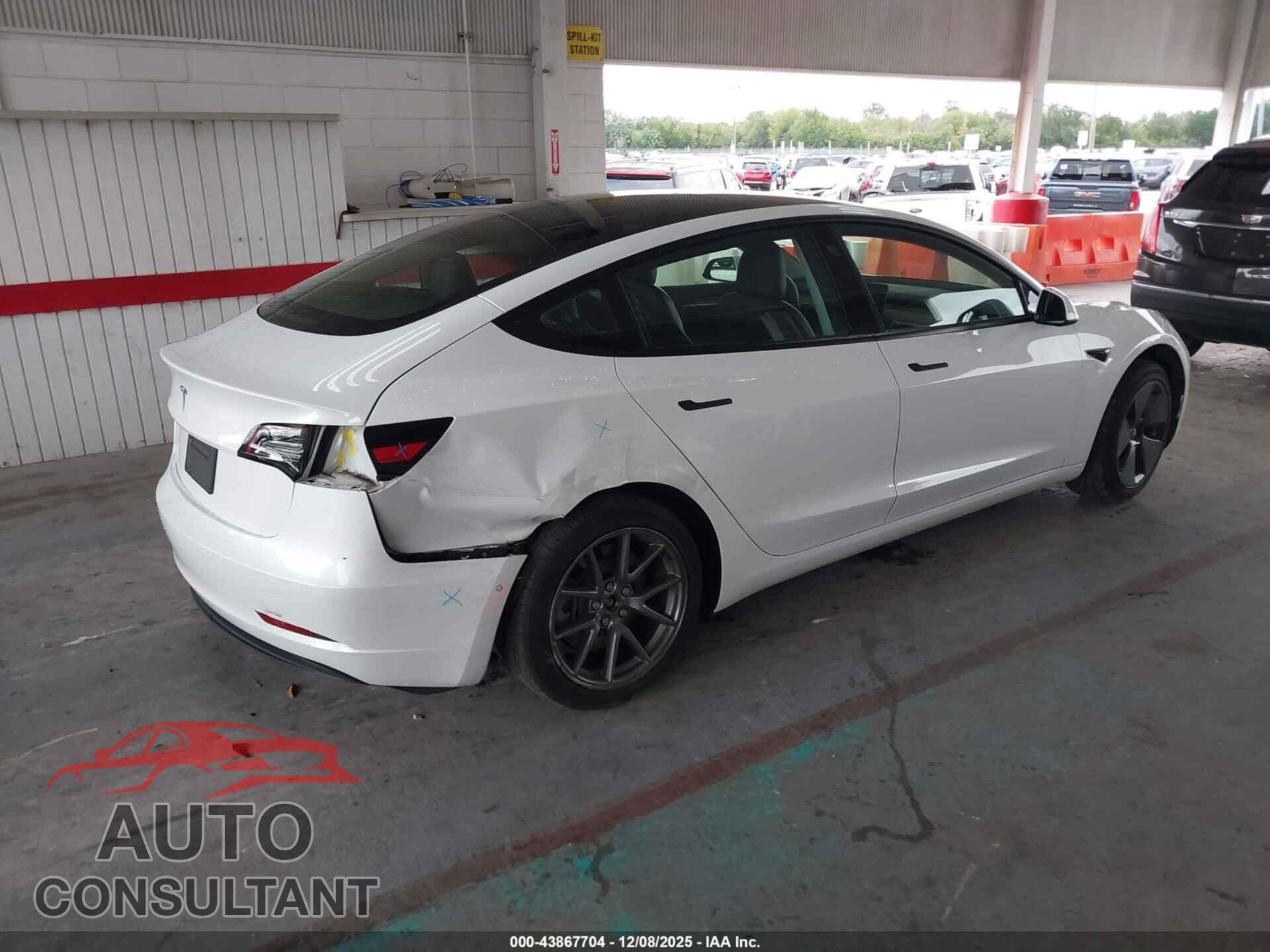 TESLA MODEL 3 2021 - 5YJ3E1EA1MF977497