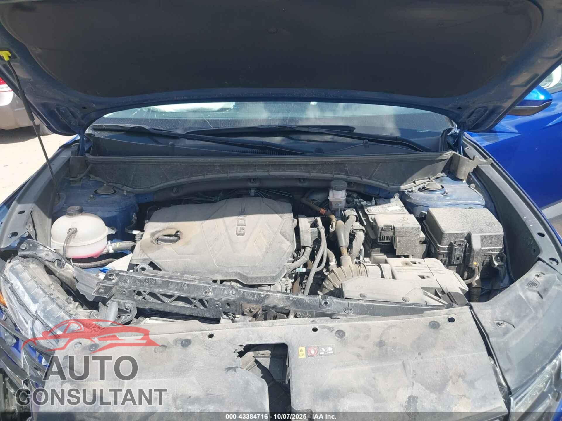HYUNDAI TUCSON 2024 - 5NMJBCDE9RH347345