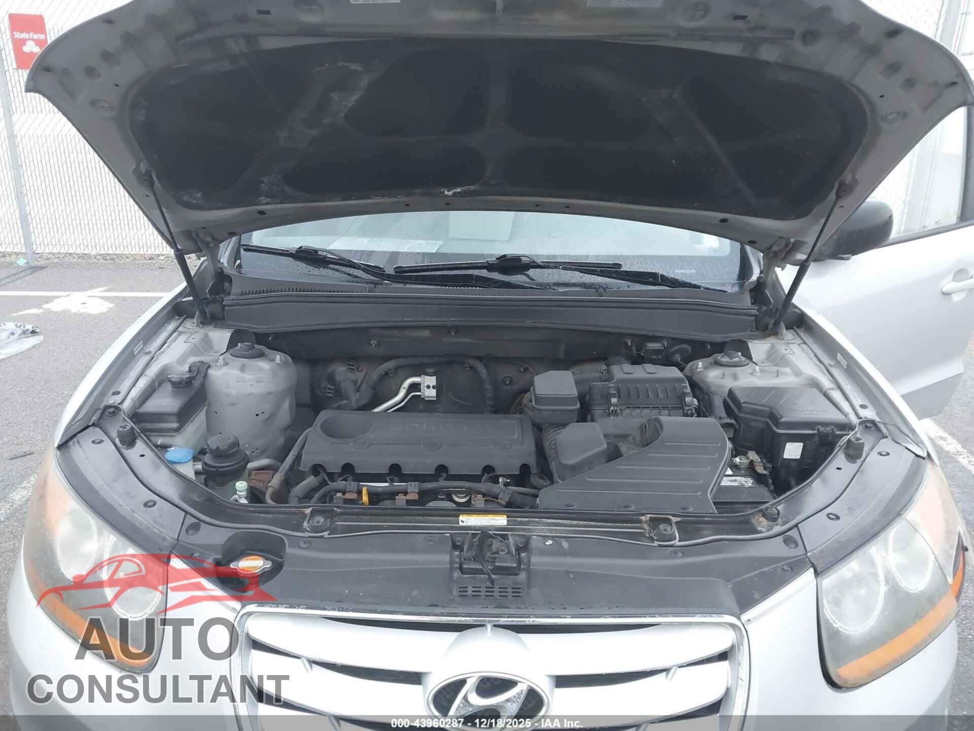 HYUNDAI SANTA FE 2010 - 5NMSG3AB5AH347301
