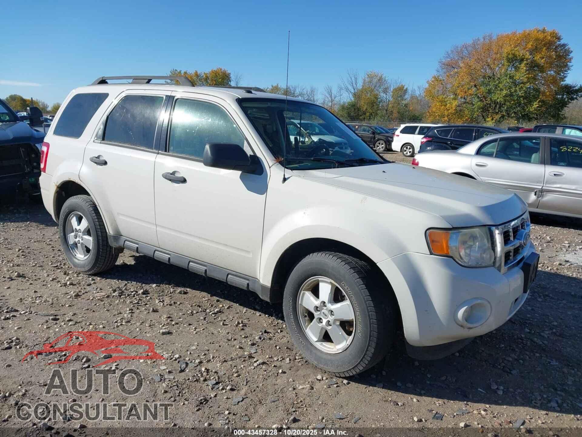 FORD ESCAPE 2010 - 1FMCU9D78AKB95523