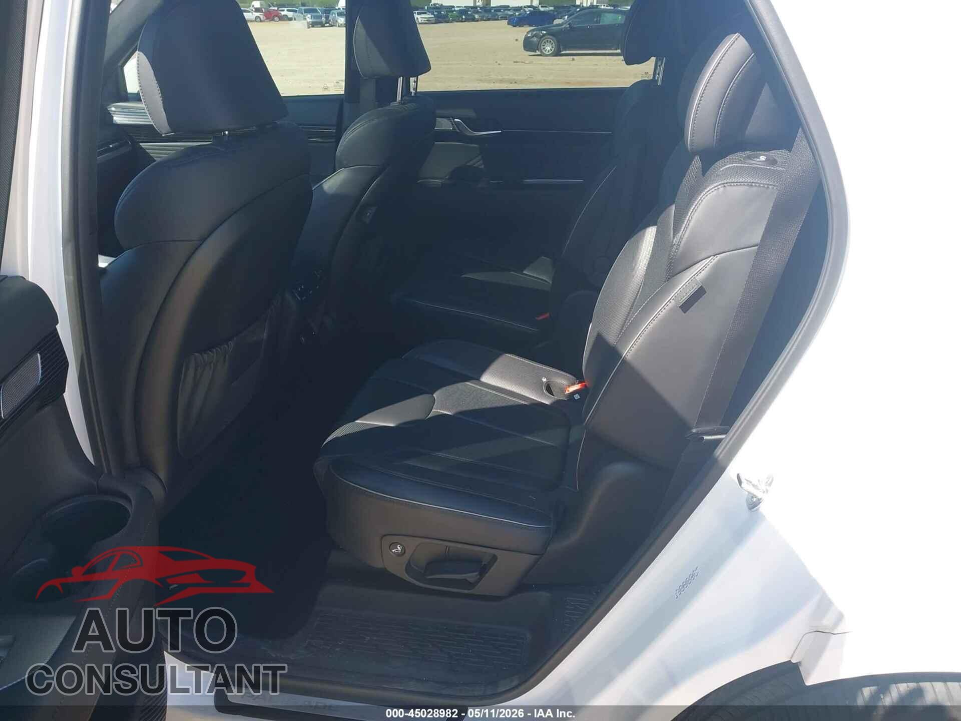 HYUNDAI PALISADE 2025 - KM8R74GE2SU831597