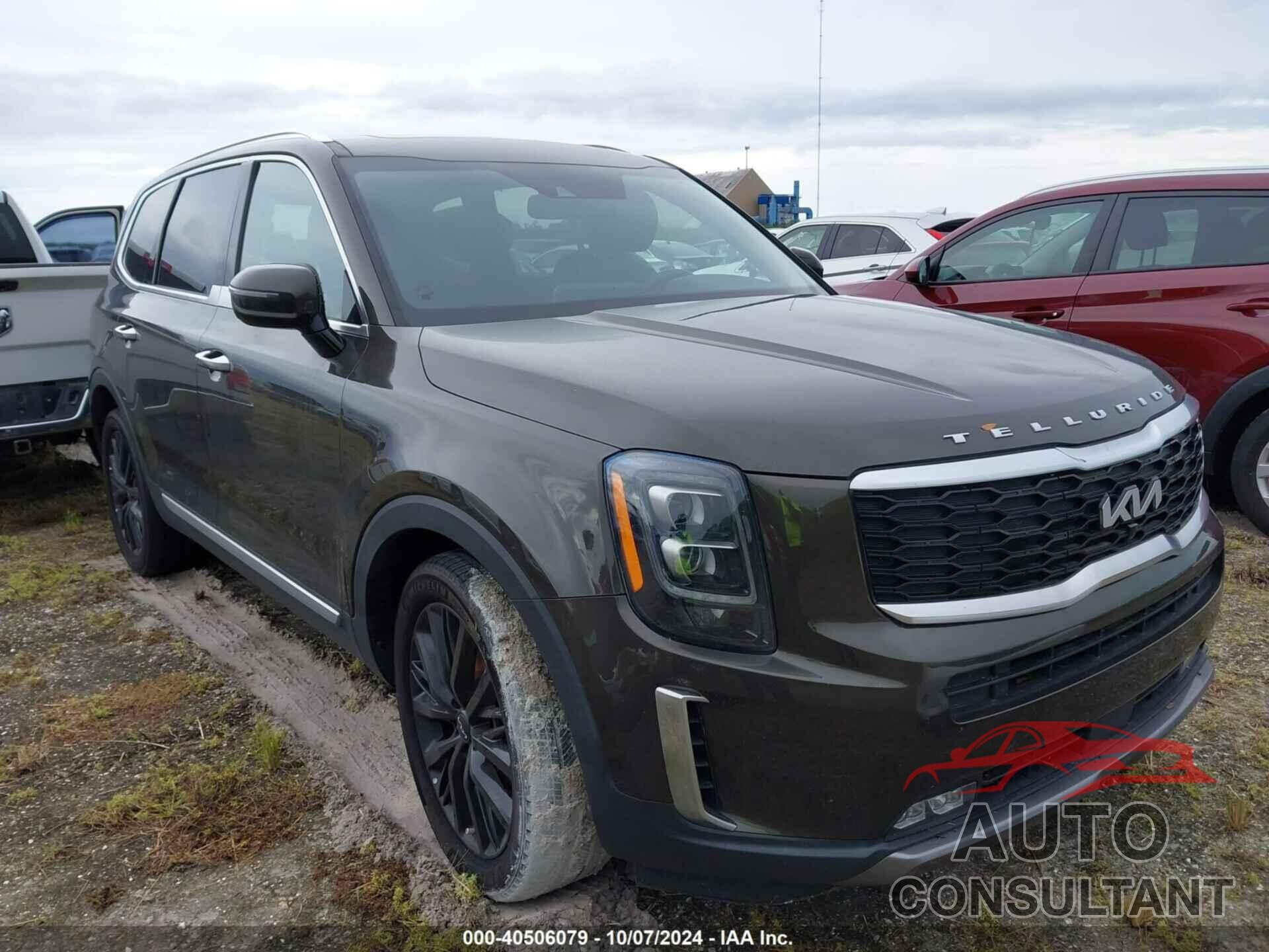 KIA TELLURIDE 2022 - 5XYP5DHC8NG308461