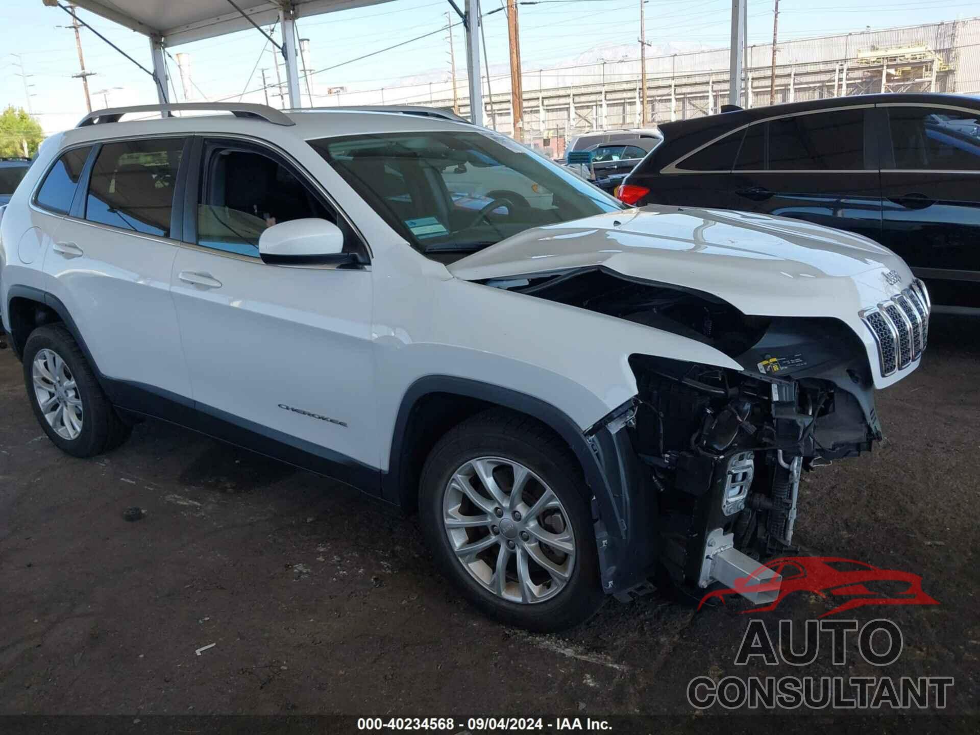 JEEP CHEROKEE 2019 - 1C4PJLCB4KD439563