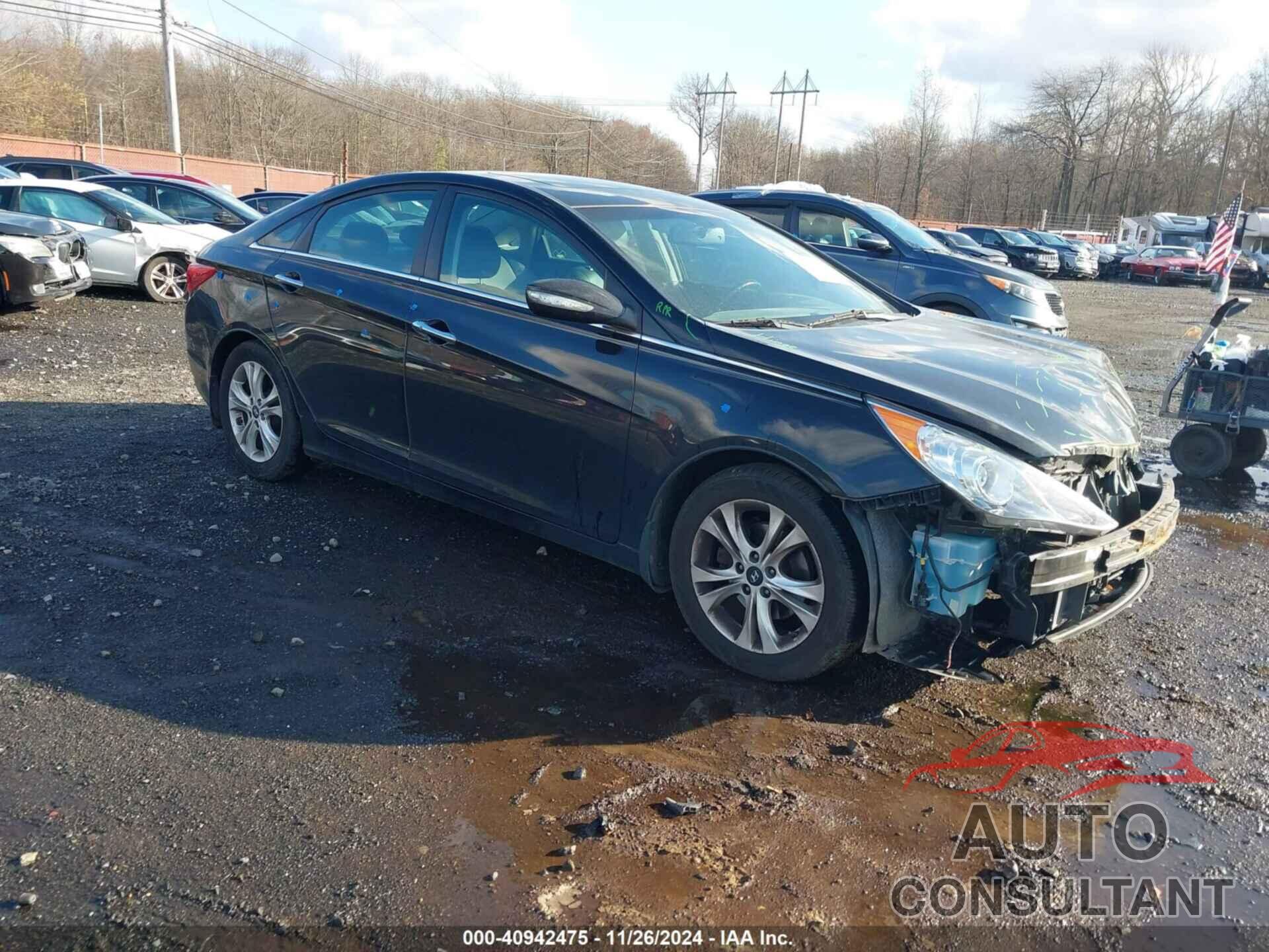 HYUNDAI SONATA 2013 - 5NPEC4AC4DH648981