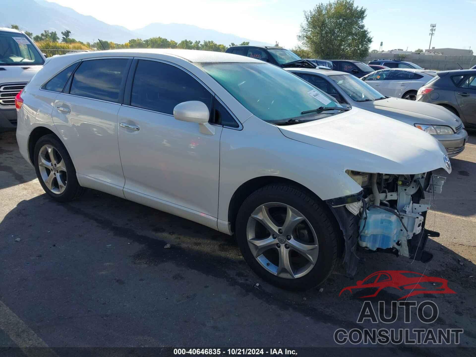 TOYOTA VENZA 2009 - 4T3BK11A49U010846