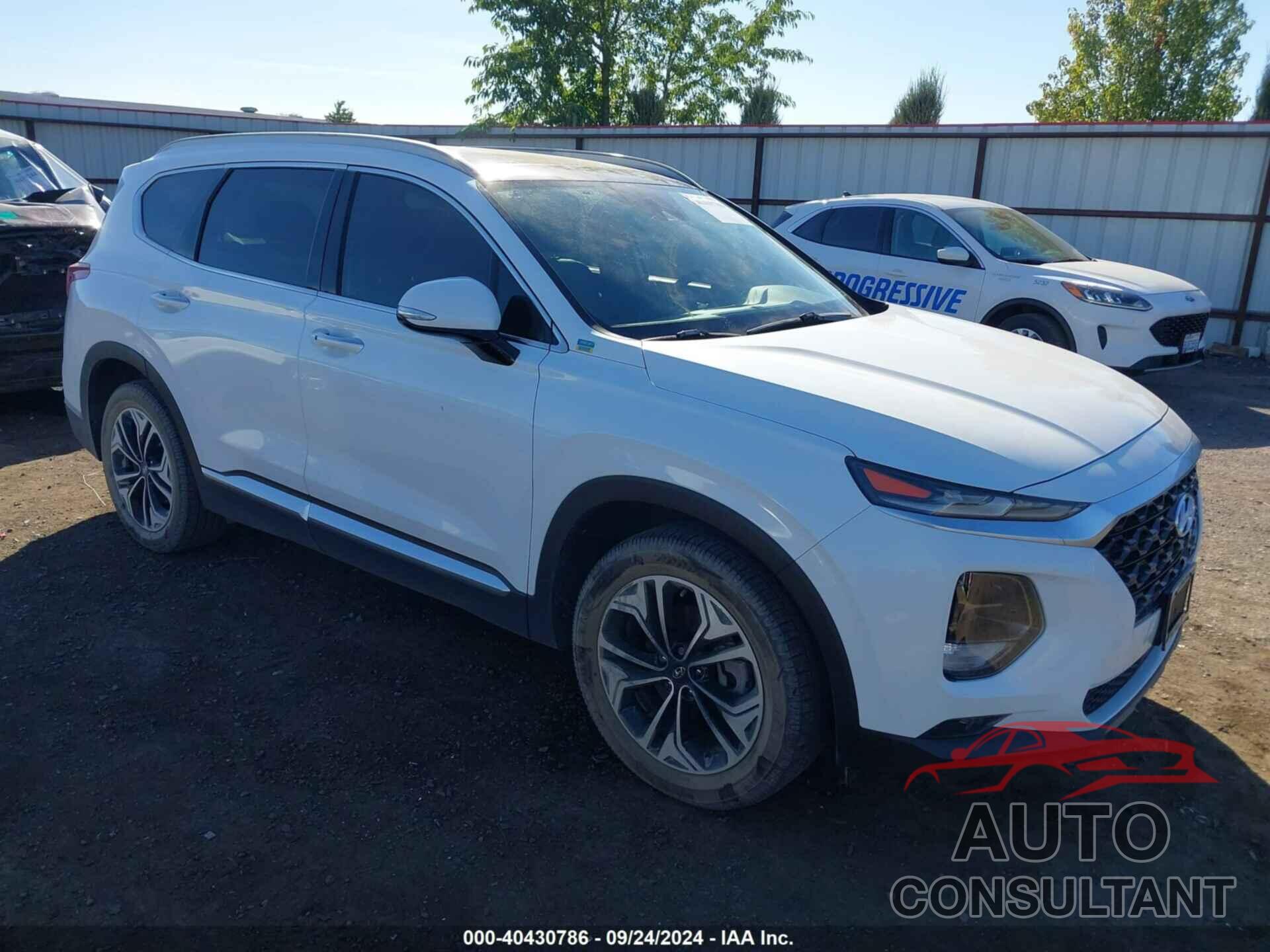 HYUNDAI SANTA FE 2019 - 5NMS5CAA7KH015097