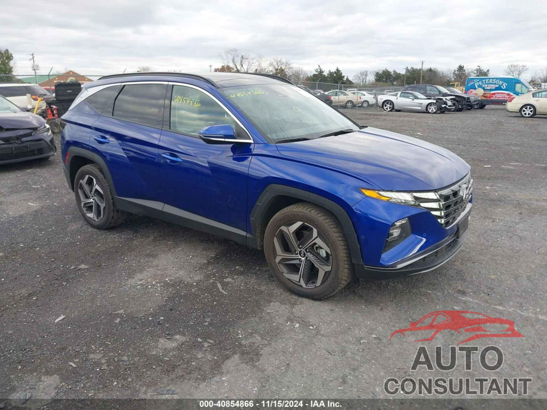 HYUNDAI TUCSON 2024 - 5NMJECDE4RH352041