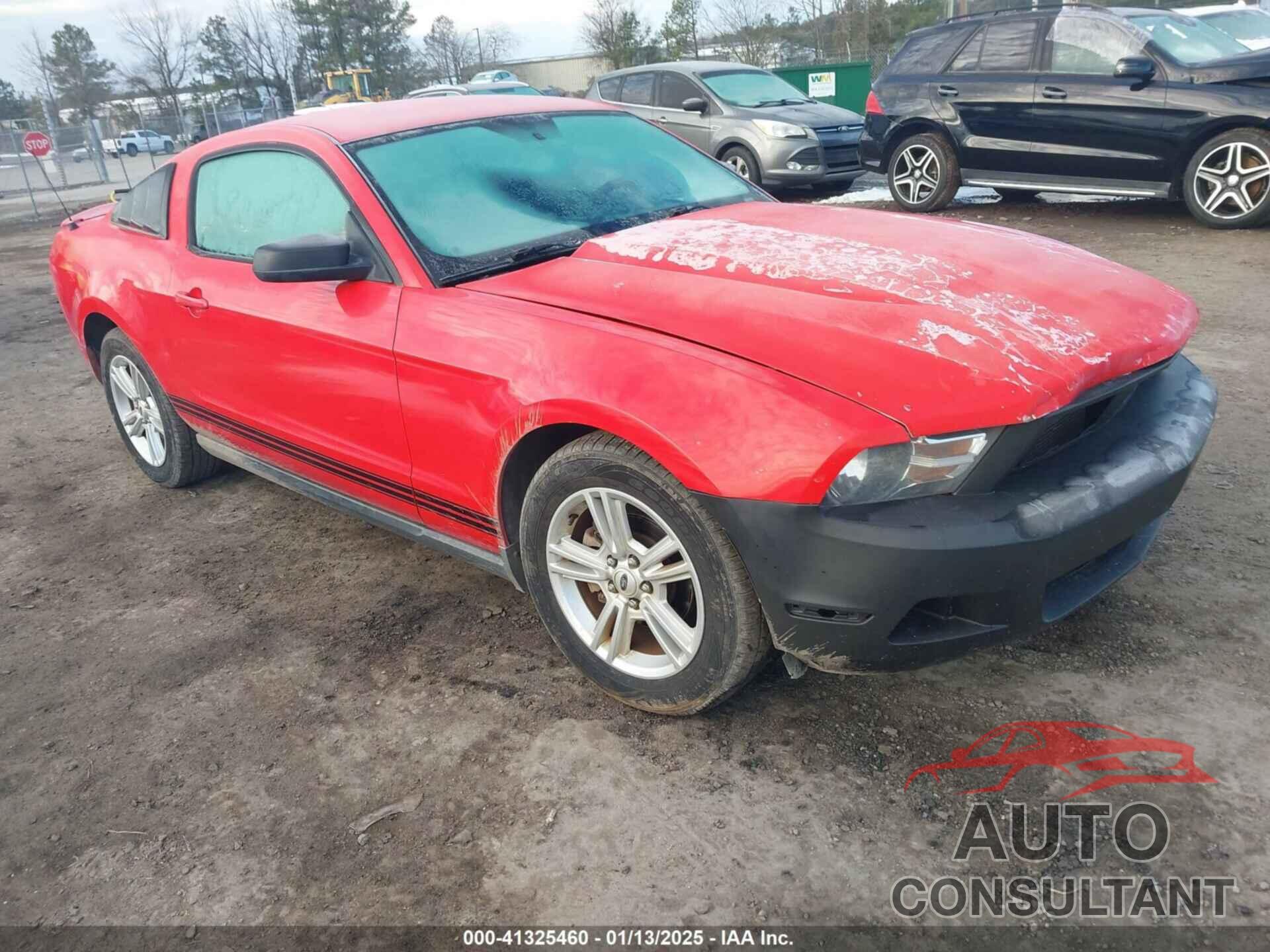 FORD MUSTANG 2010 - 1ZVBP8AN7A5175103