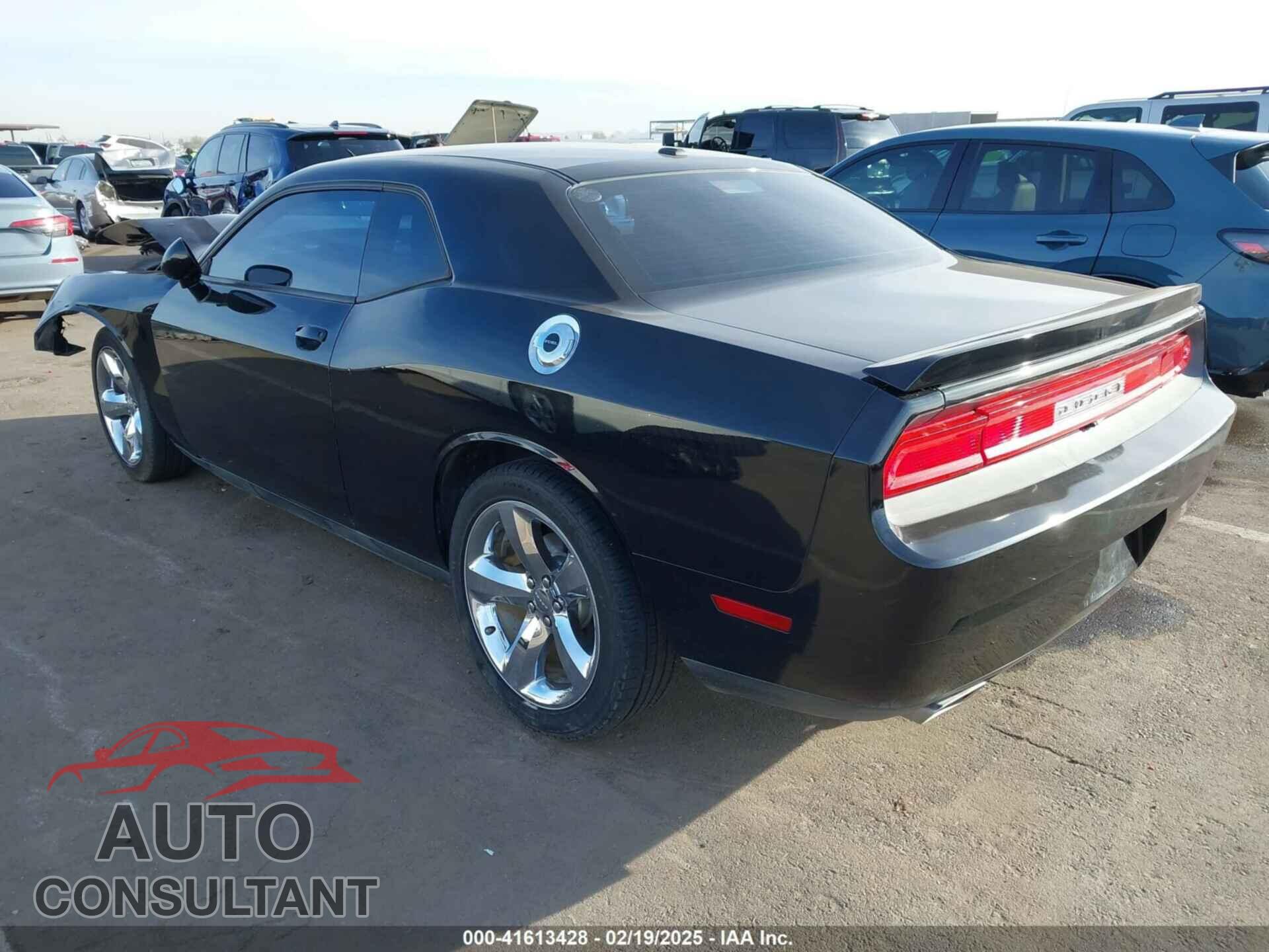 DODGE CHALLENGER 2013 - 2C3CDYAG2DH674474