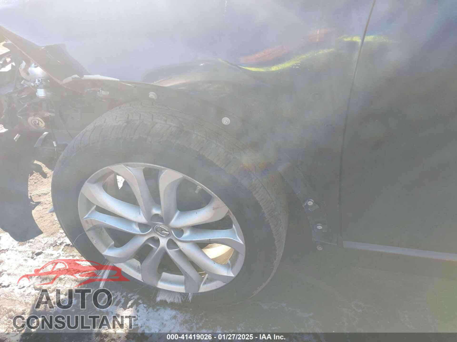 MAZDA CX-9 2011 - JM3TB3DV4B0325193