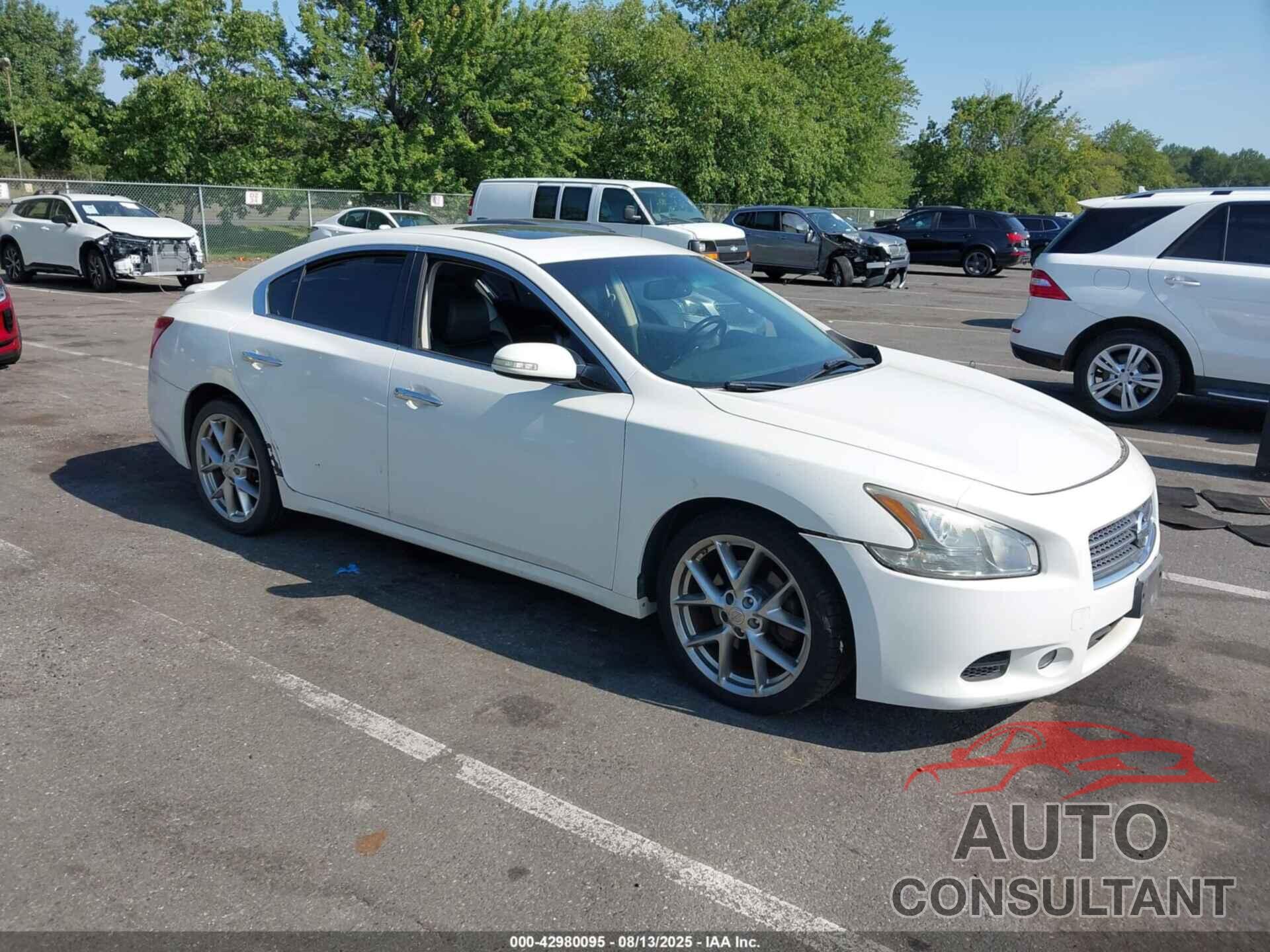 NISSAN MAXIMA 2010 - 1N4AA5AP5AC837598