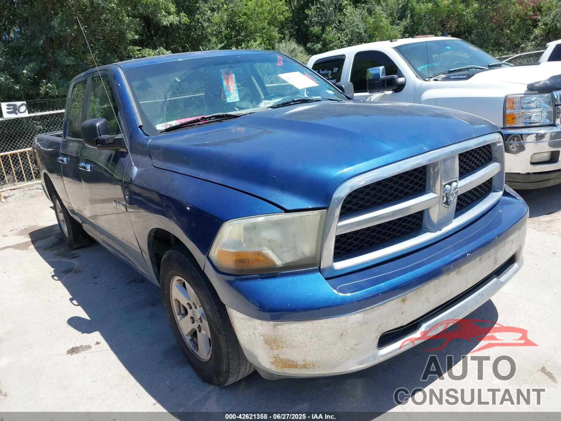 DODGE RAM 1500 2010 - 1D7RB1GP3AS206273