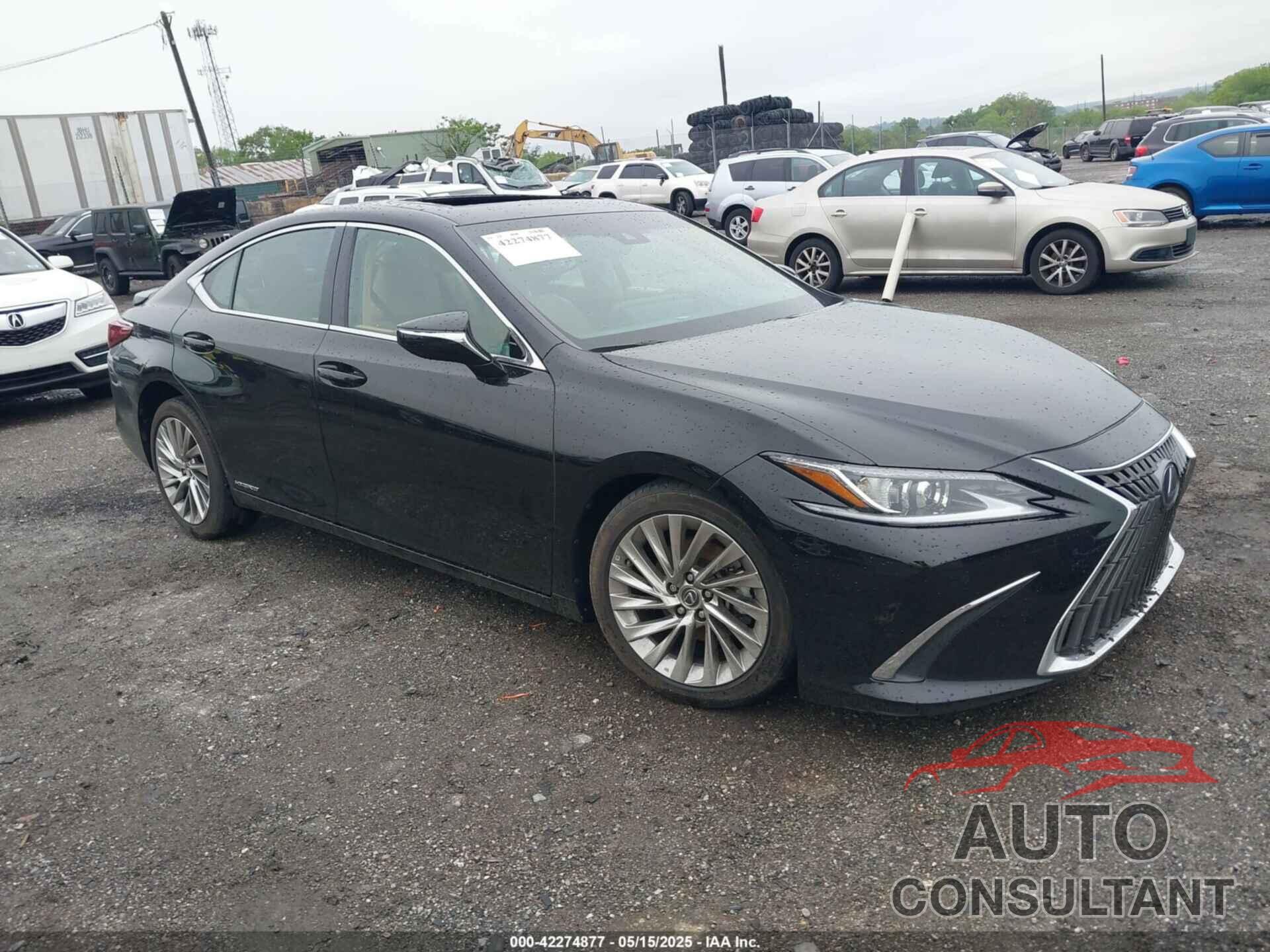 LEXUS ES 2022 - 58AEA1C19NU025142