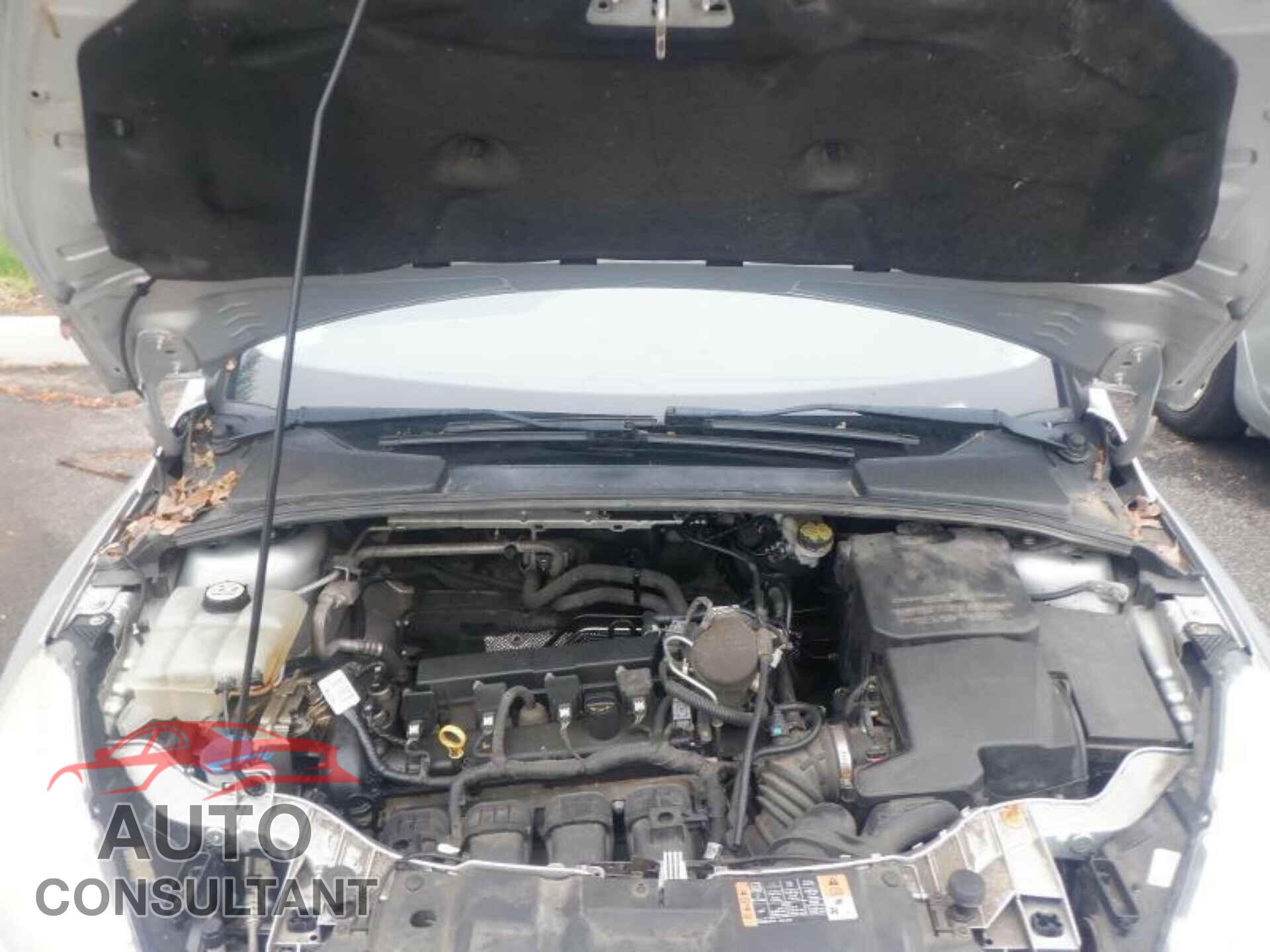 FORD FOCUS 2016 - 1FADP3E21GL322377