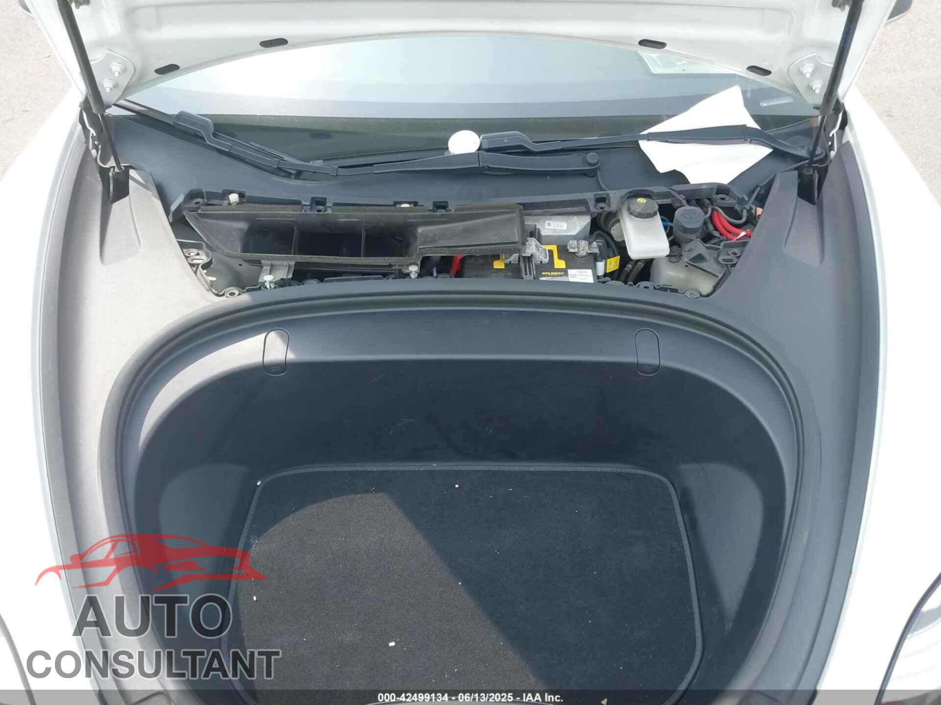 TESLA MODEL 3 2019 - 5YJ3E1EB2KF452003