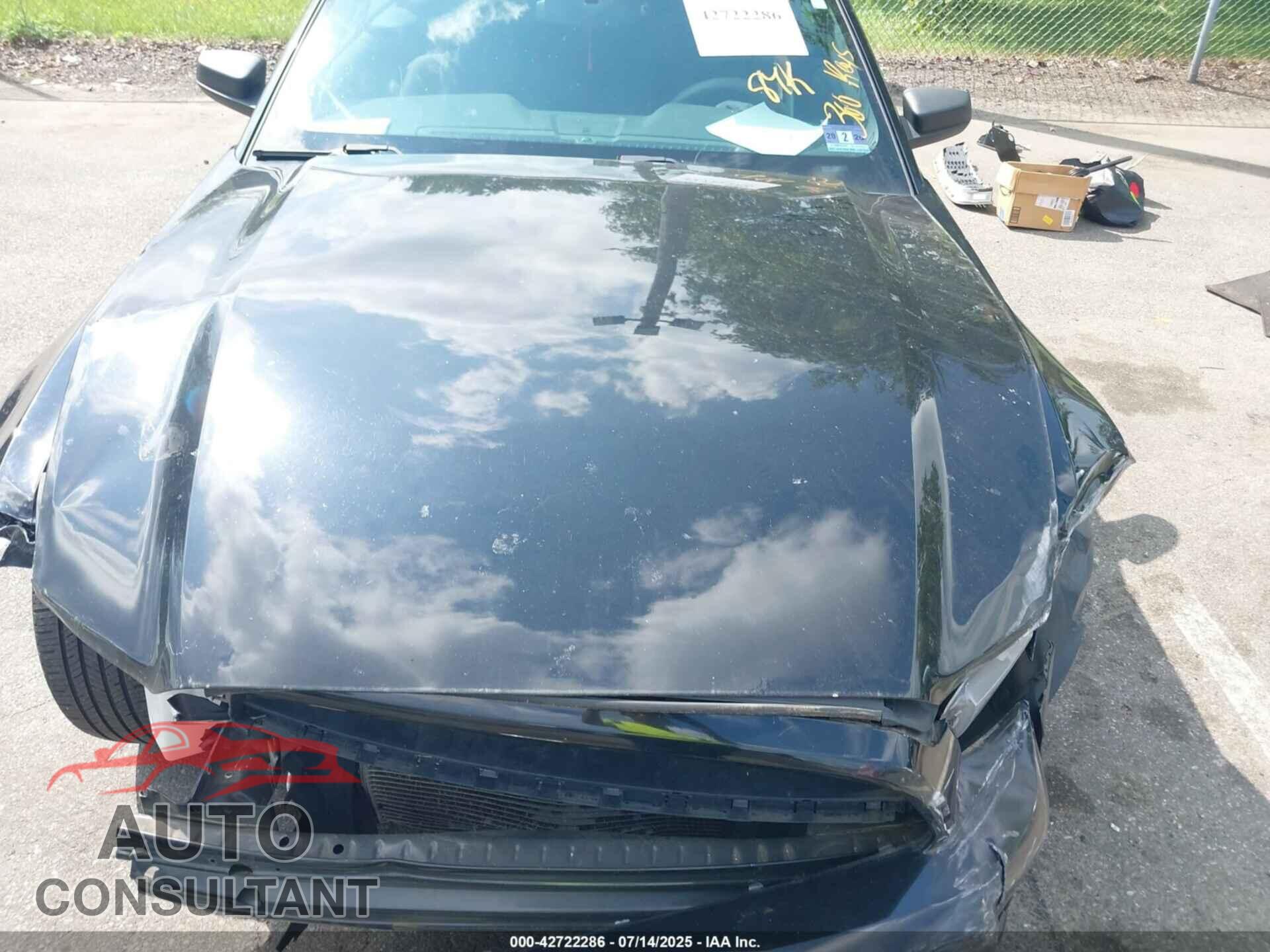 FORD MUSTANG 2013 - 1ZVBP8EM8D5225075
