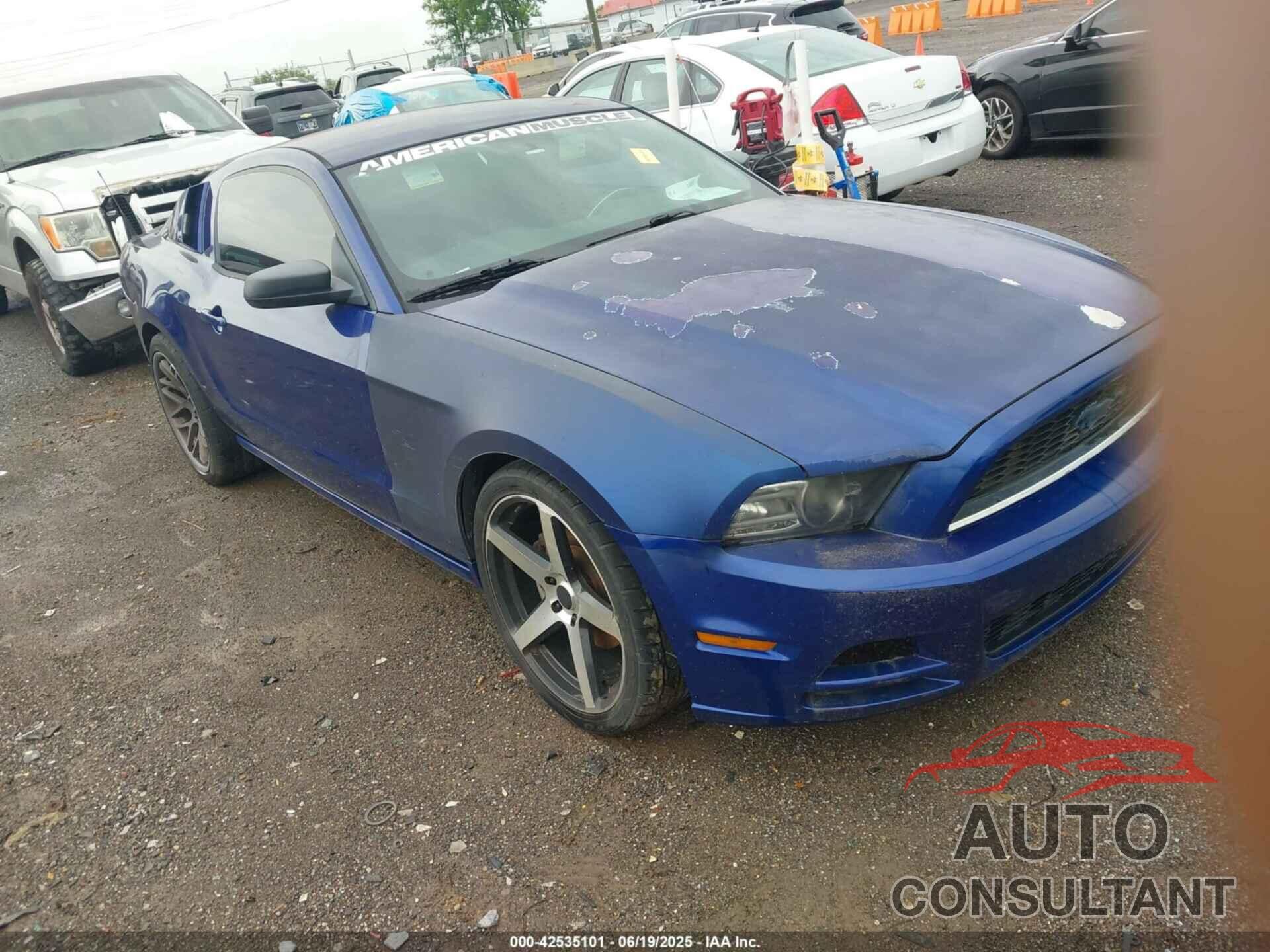 FORD MUSTANG 2014 - 1ZVBP8AM7E5267695