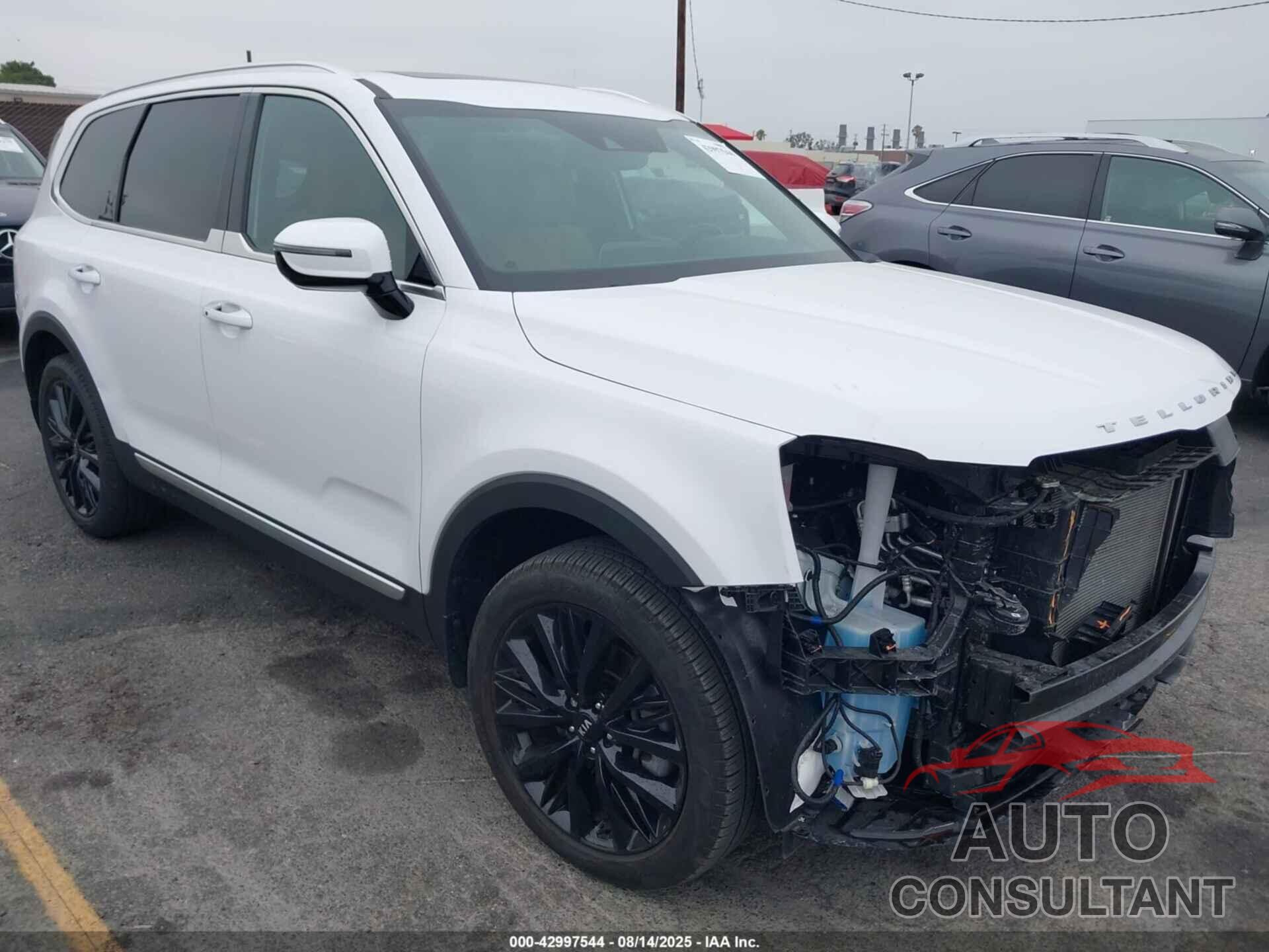 KIA TELLURIDE 2021 - 5XYP54HC3MG167118