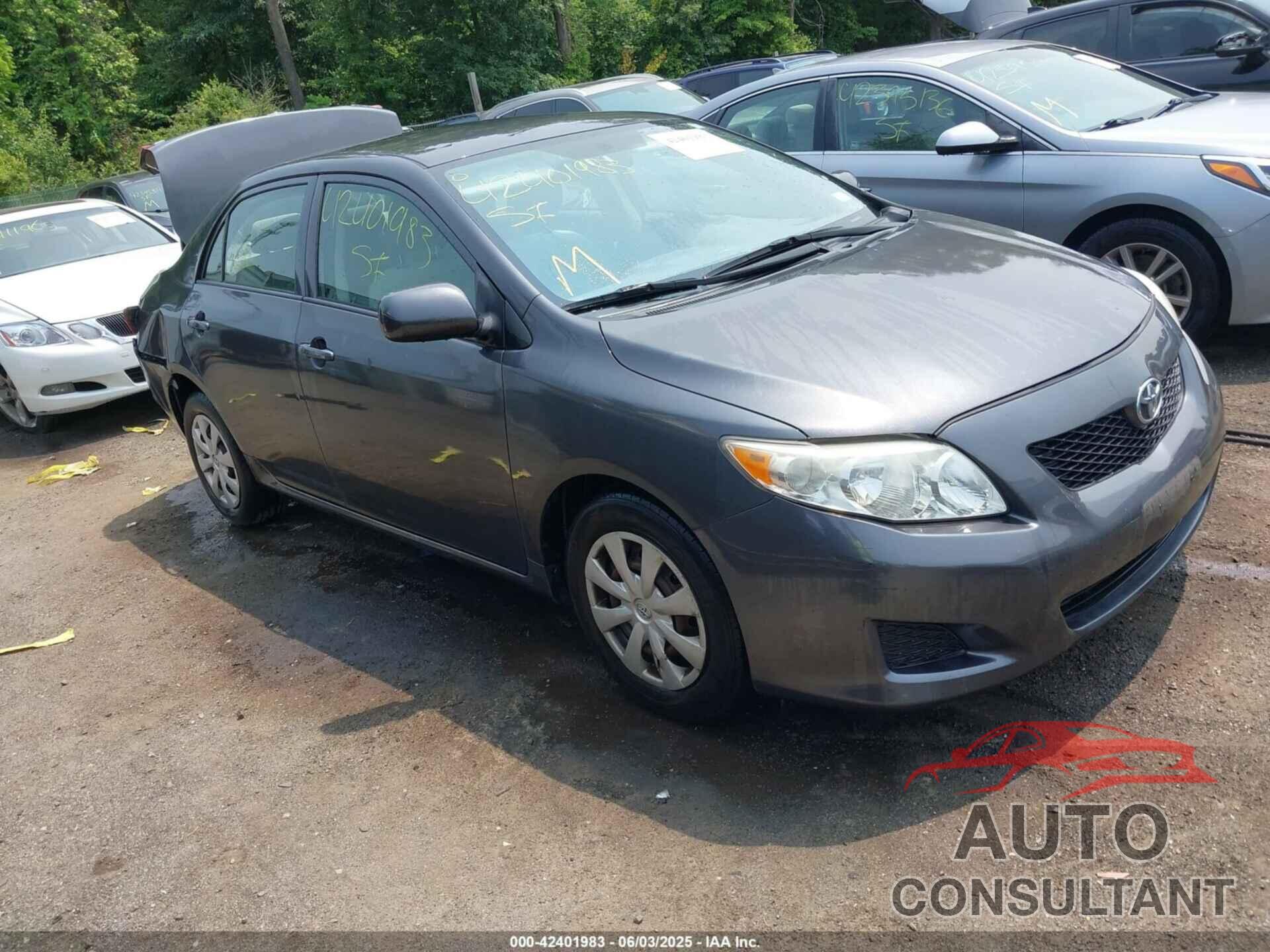 TOYOTA COROLLA 2009 - JTDBL40E899080434