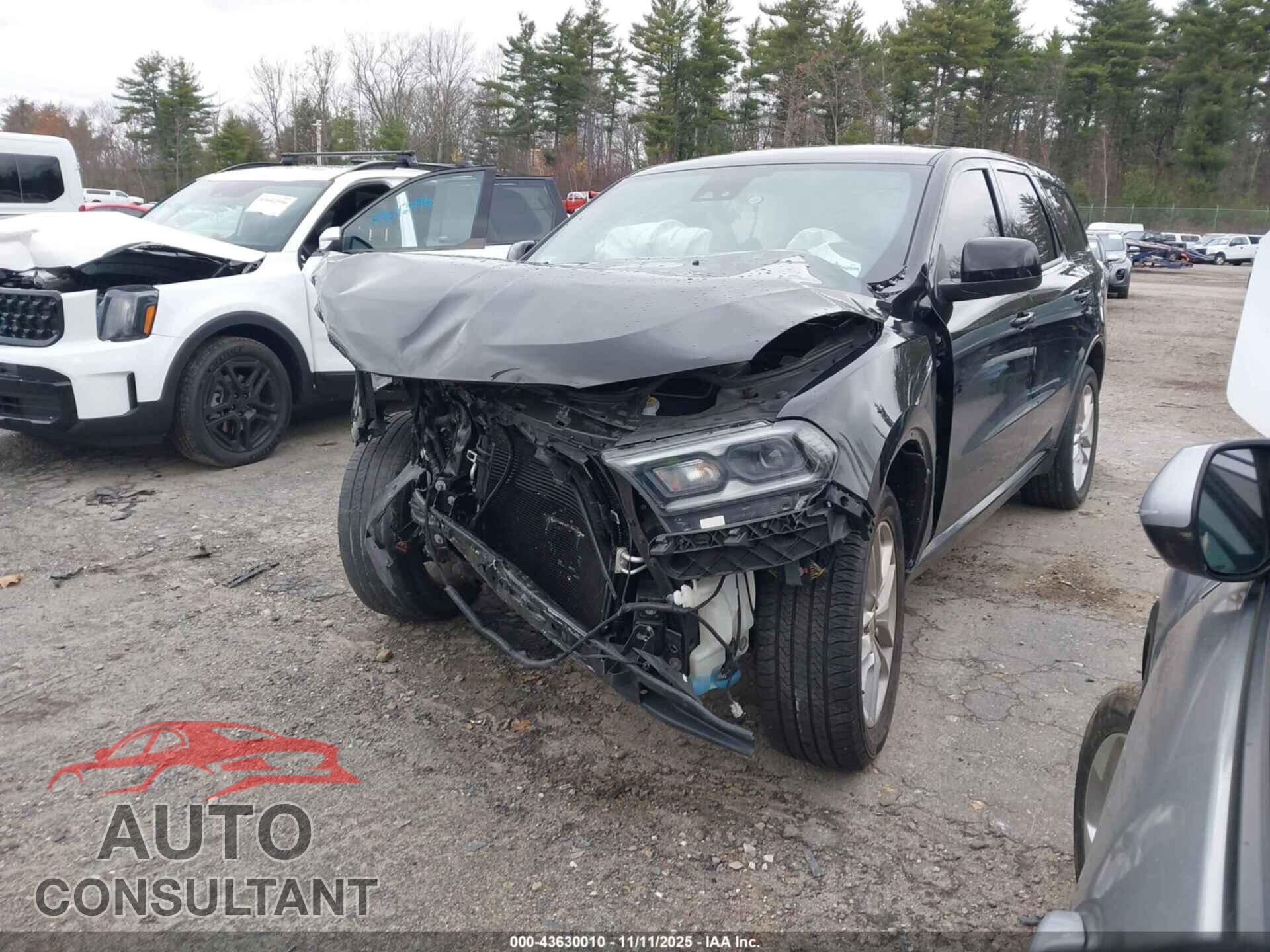 DODGE DURANGO 2023 - 1C4RDJDG4PC556331