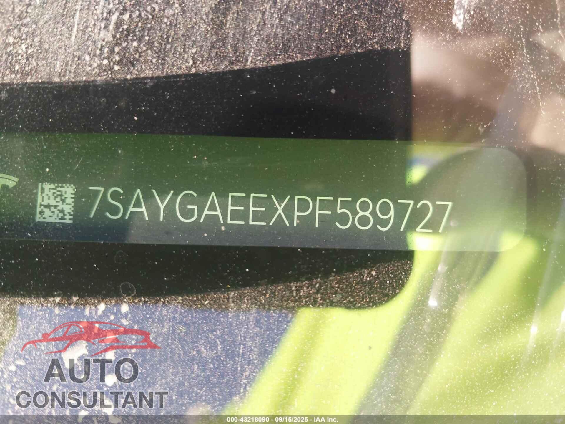 TESLA MODEL Y 2023 - 7SAYGAEEXPF589727