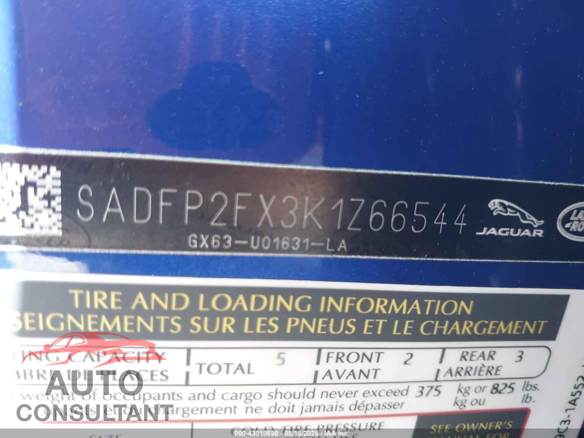 JAGUAR E-PACE 2019 - SADFP2FX3K1Z66544