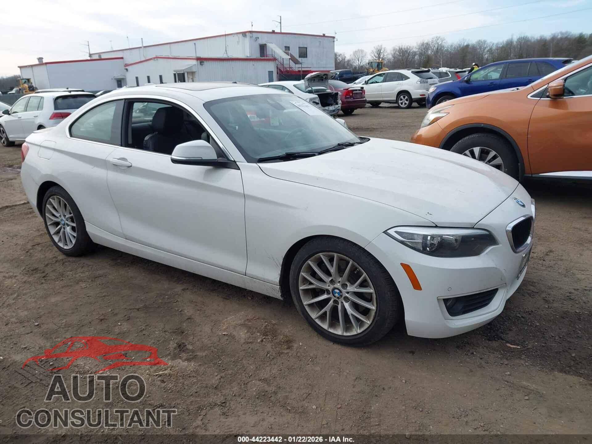 BMW 228I 2015 - WBA1F5C56FV257390